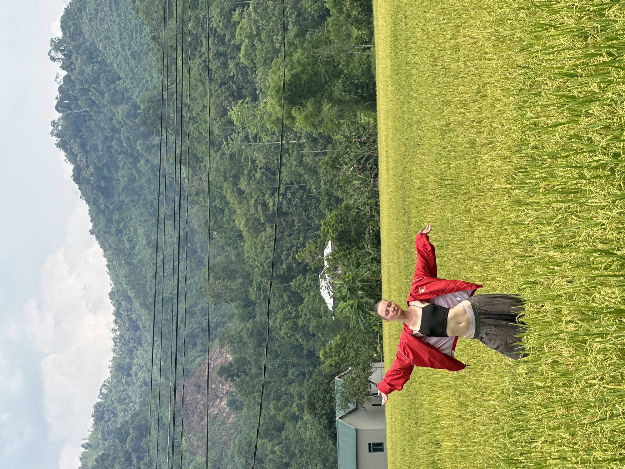 This image depicts a person standing joyfully in a vast golden-green rice field in Ngọc Đường Commune, Vietnam. The person, positioned centrally, has very short or shaved hair and is wearing a black crop top, loose greyish-brown pants, and a bright red jacket worn open with its sleeves rolled up. They have their eyes closed or squinting with a serene smile, and their arms are outstretched, seemingly embracing the environment.
The expansive rice field, full of mature, golden-hued stalks, occupies the foreground and midground. Behind the field, a majestic range of densely forested mountains rises under a partly cloudy sky. Several utility poles and power lines stretch horizontally across the mid-distance, traversing the landscape between the field and the mountains. In the background, nestled among the trees and at the foot of the mountains, a few simple houses with light walls and dark roofs are visible.
The scene is illuminated by bright daylight, suggesting it is mid-morning or afternoon, under clear weather conditions. The overall impression is one of natural beauty and tranquility, with the person enjoying the peaceful rural Vietnamese landscape. No visible text is present in the image.