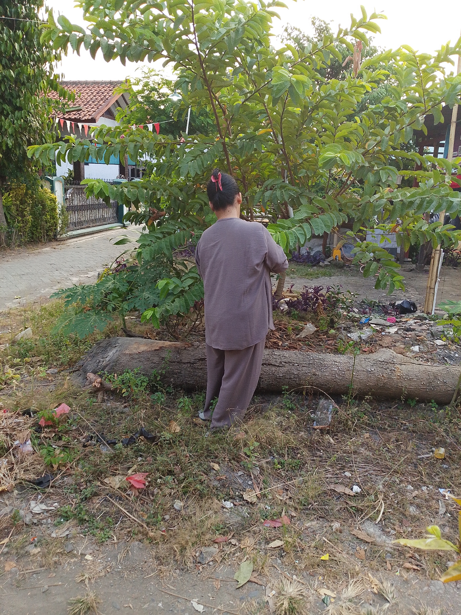 A person wearing a brown tunic and pants stands with their back to the camera, facing a tree with large green leaves. The person has dark hair pulled back with a red clip. The tree is in a yard with dry grass, leaves, and scattered trash, including a large log in front of the tree and a black plastic bag. In the background, a paved road runs past a house with a red-tiled roof, a white wall, and a black metal fence. Small red and white triangular flags hang from the roof. The scene appears to be in Lawatan, Indonesia.