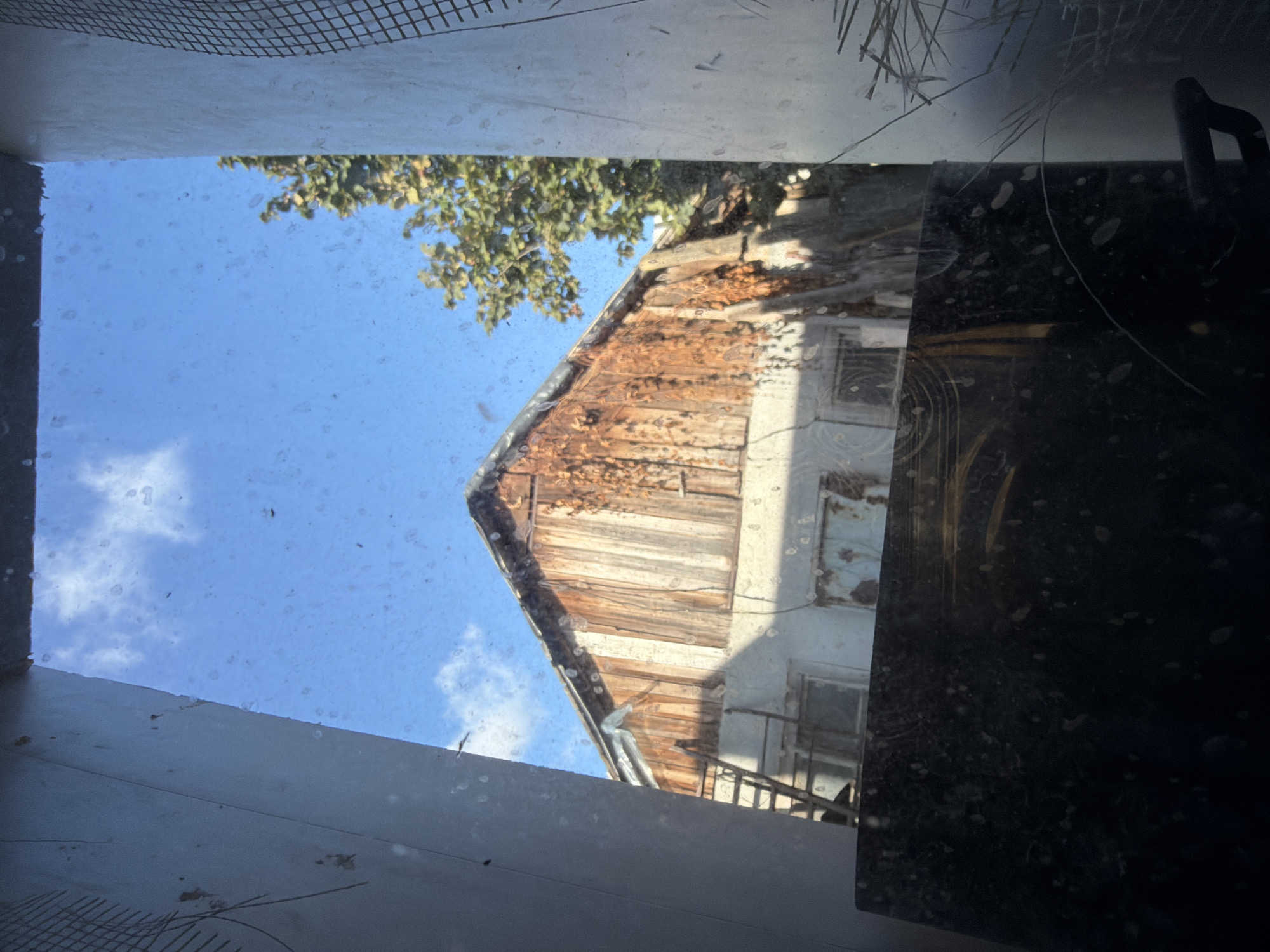 A low-angle, wide shot captures a rustic, wooden-sided building against a bright blue sky with scattered white clouds. The building's weathered facade, made of vertical wooden planks, shows signs of age and discoloration, with some areas appearing rusted or stained. A portion of the building is painted white, revealing a peeling texture. Windows are visible on the lower section, some appearing boarded up or covered with grimy material. A metal ladder leans against the left side of the building. The foreground is dominated by dark, reflective surfaces, possibly the interior of a vehicle or a piece of equipment, covered in numerous spots and smudges. The edges of the frame are framed by the light-colored, possibly metallic, structures, one of which has a wire mesh pattern. A tree with green foliage is visible to the right of the building. The image appears to be taken from within a confined space, looking out at the exterior. The scene suggests an industrial or rural setting, likely in a state of disrepair. This view aligns with structures found in the area of the former port in Szczecin, Poland, where old industrial buildings and their surroundings are common.
