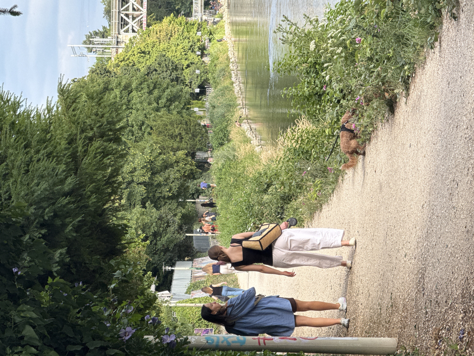 The image depicts a scenic pathway adjacent to a river in Zurich, Switzerland. In the foreground, two women are walking along the path. The woman on the left wears a blue denim shirt and dark shorts, while the woman on the right is dressed in a black sleeveless top and flowing white pants, carrying a woven straw bag. A small, reddish-brown dog on a leash is sniffing at the vegetation near the riverbank. The river itself is calm and reflects the sky and surrounding greenery.
The path is made of gravel and bordered by lush, green vegetation and flowering plants. In the background, more people are visible further down the path and near the river, some appearing to be relaxing or enjoying the water. Across the river, a bridge and overhead power lines suggest an urban setting within a natural environment. The trees are dense and form a canopy overhead in some parts of the image, creating a dappled light effect on the path. The overall scene conveys a sense of leisure and outdoor activity in a well-maintained park or riverside promenade.