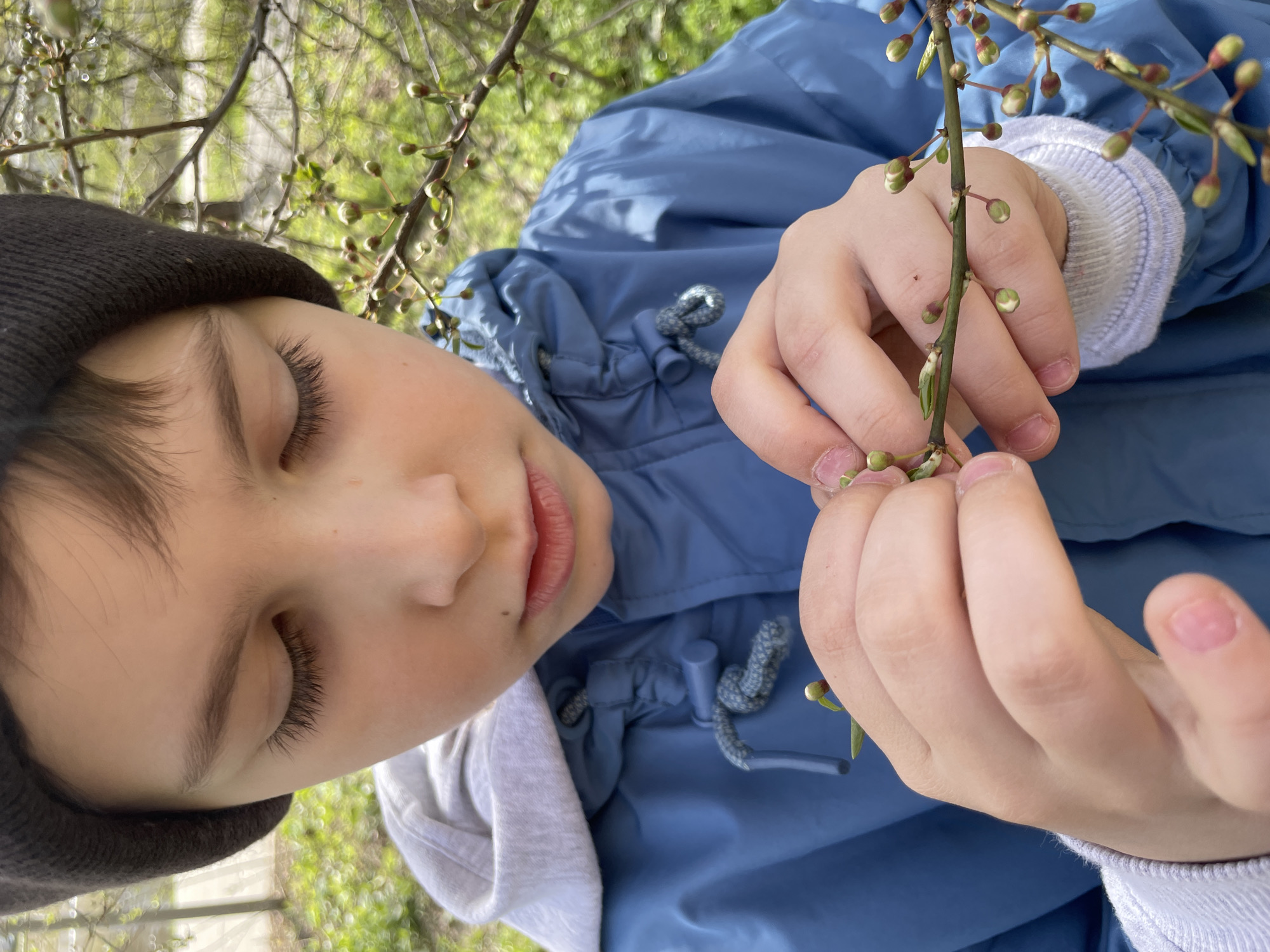 A child wearing a black beanie and a blue jacket with a gray hood is holding a tree branch with small buds in their hands. The background shows blurred greenery, suggesting an outdoor location. The picture is taken from an overhead perspective. The location is Unknown, Unknown.