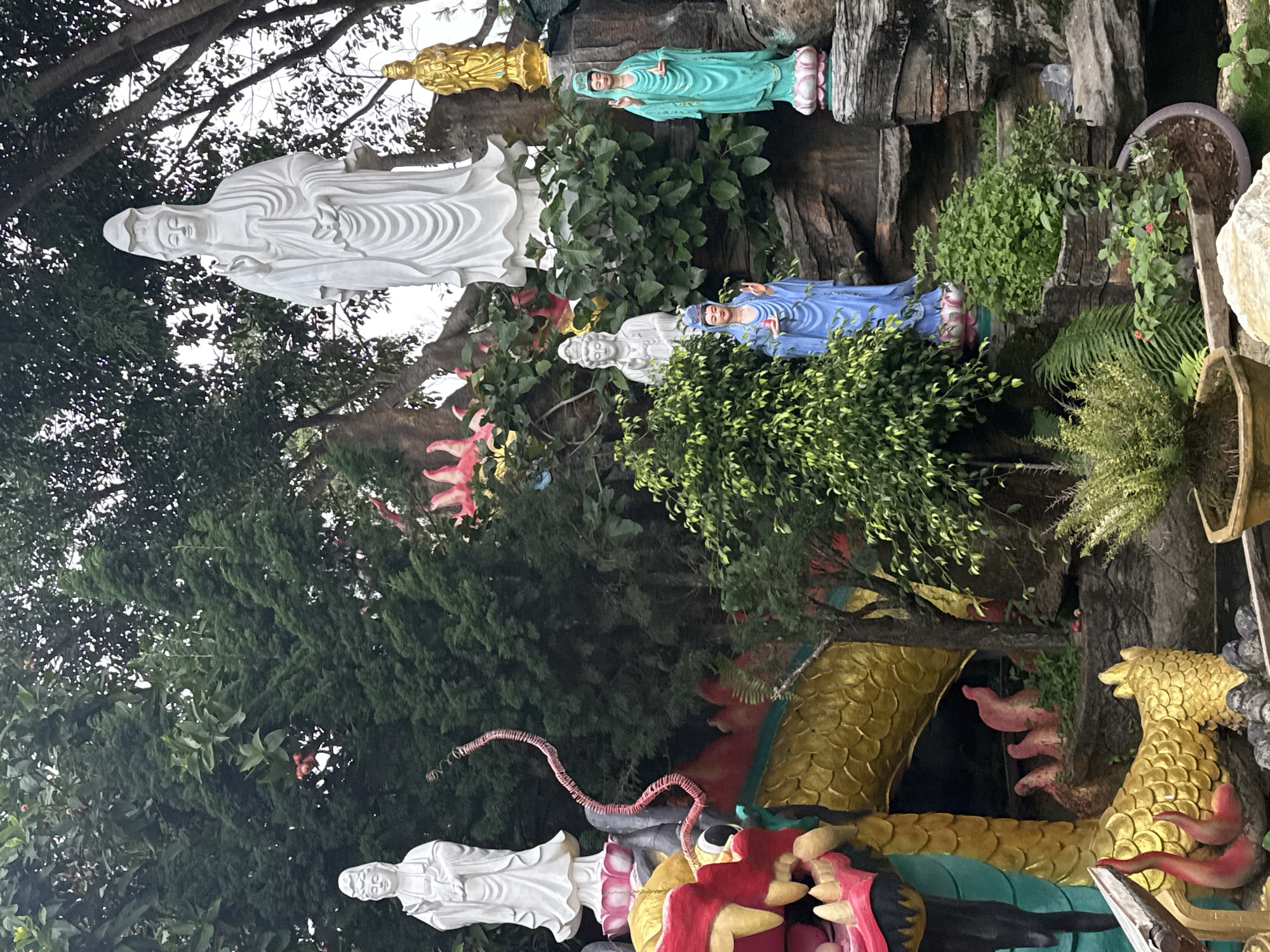 This image depicts a garden scene featuring multiple statues and a large dragon sculpture, likely a religious or decorative installation. In the foreground, a large, intricately decorated golden dragon sculpture is prominently displayed. Its scales are golden, and parts of its body are painted in vibrant red and green. To the left of the dragon, a white statue of a female figure, possibly a deity, stands on a lotus pedestal. Behind this white statue, a long, coiled, pink serpentine-like object extends upwards.
In the mid-ground and background, several other statues are visible. A tall, white statue of a female figure, also possibly a deity, stands on a pink lotus base. To its right, a small golden statue stands on a pedestal. Further to the right and slightly lower, a turquoise statue of a female figure in a serene pose stands on a pink and green lotus base. In front of and below this turquoise statue, a blue statue of a female figure, holding what appears to be a small object, is positioned.
The statues are situated amidst lush greenery, including various trees and bushes, and rocky formations. Some of the plants appear to be in potted containers. The overall environment suggests a garden or park setting. The presence of multiple Buddhist-inspired statues, including the large white female deity (likely Guan Yin) and the dragon sculpture, points to a location with Buddhist cultural influences. While the exact location within Lâm Viên - Đà Lạt, Vietnam, is not specified, the style of the statues and the garden landscaping are consistent with Buddhist temples or cultural parks found in Vietnam.