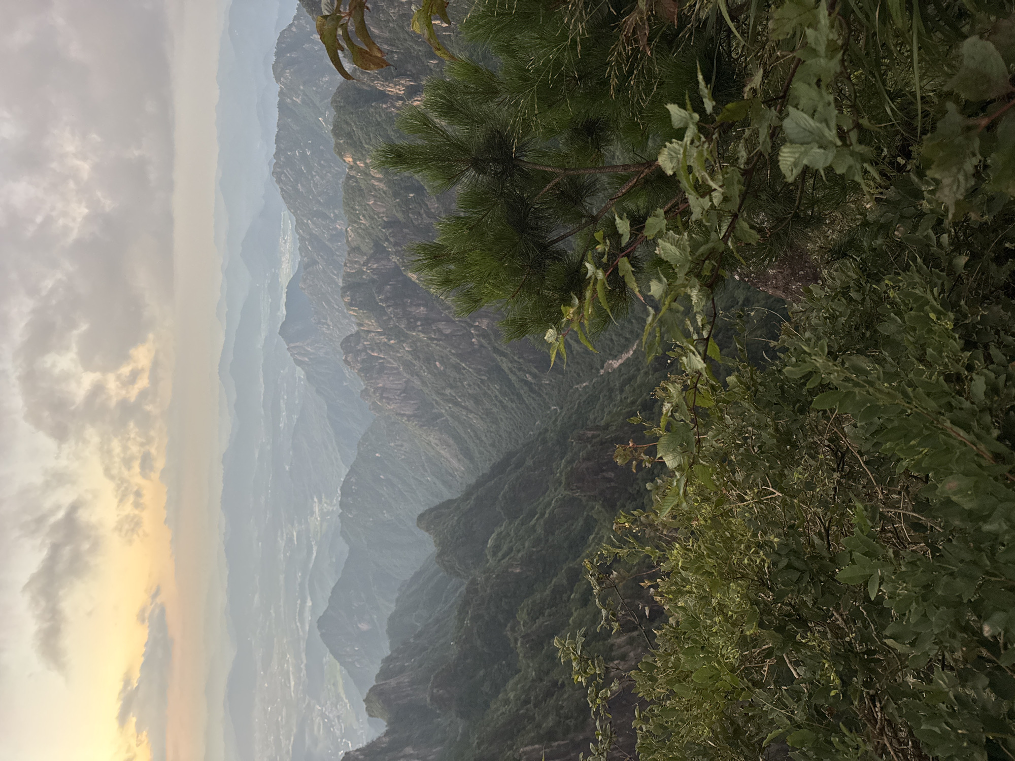 The image captures a panoramic view of a mountain range, likely within Huangshan District, China, at what appears to be dawn or dusk. The sky is filled with soft, diffused light, with hues of orange and yellow blending into a pale gray, overlaid with scattered clouds. In the foreground, lush green foliage, including pine trees and other deciduous plants, partially obscures the view. The middle ground is dominated by the rugged terrain of the mountains, characterized by steep, rocky slopes covered in dense vegetation. The mountains recede into the distance, forming layers of mist-shrouded peaks that fade into a hazy, atmospheric perspective. A valley with a winding river or road is visible in the deeper recesses of the mountains. In the far distance, a plain with scattered human settlements can be observed, indicating the proximity of civilization to this natural landscape. The overall scene evokes a sense of natural grandeur and tranquility.