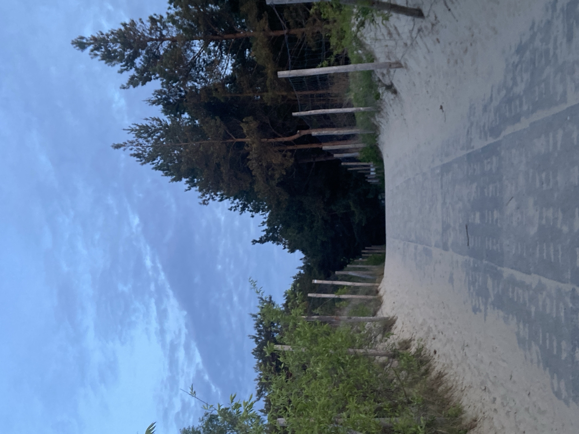 The image shows a walkway with wooden posts along the side, possibly a dune path. The sky is visible on the left. The exact location is unknown.