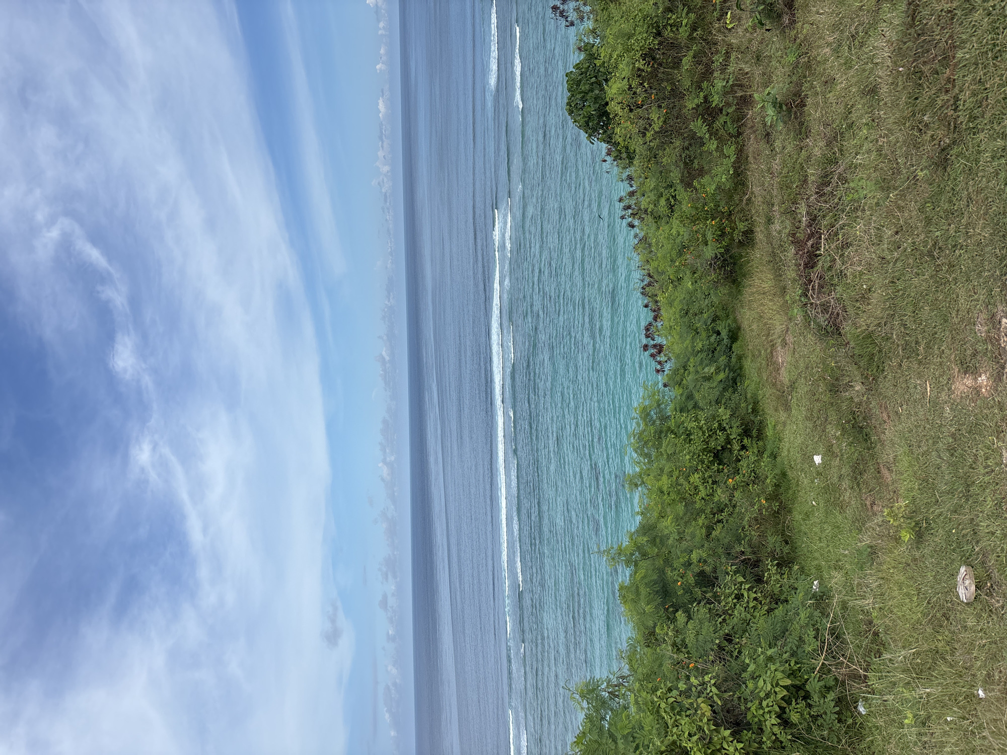 The image depicts a coastal landscape in Kuta Selatan, Indonesia. The scene is divided into three primary areas: the sky, the ocean, and the coastline.
The sky on the left side displays a gradient of light blue with scattered, wispy white clouds.
The ocean extends horizontally, with a darker blue area farther away and a turquoise-colored area closer to the coastline. White waves break along the shoreline.
The coastline on the right is covered with green vegetation, including grass and dense bushes. Some trash litters the ground. The image is taken from a slightly elevated perspective.