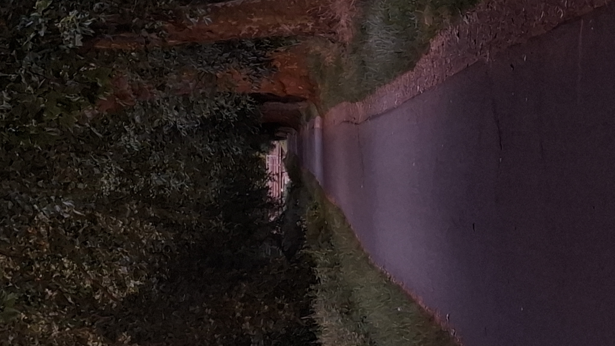 The image depicts a paved path lined with trees and vegetation, leading towards a distant structure that appears to be a bridge or overpass. The lighting suggests it is either early morning or late evening, casting long shadows and creating a subdued color palette with deep greens, browns, and purples. The path is empty of people. The trees on either side form a canopy overhead, dappling the path with shade. The vegetation along the sides of the path appears to be grass and other low-lying plants. The overall impression is one of a quiet, natural setting within an urban environment. This scene is consistent with many of the tree-lined paths found along the canals and parks within the city of Strasbourg, France.