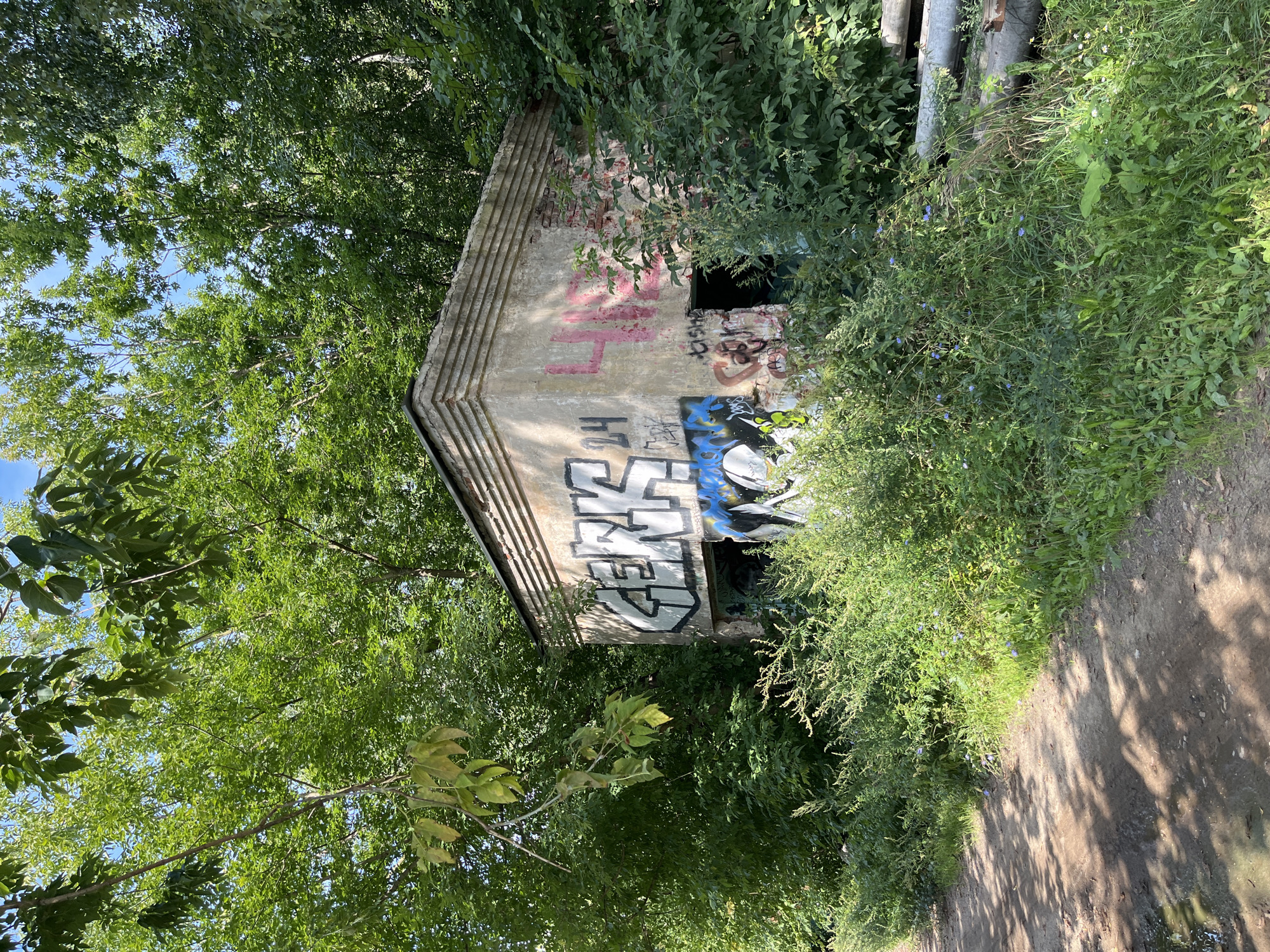 The image shows a small, weathered concrete building covered in graffiti, situated amidst dense green foliage. The building has a rectangular shape with a slightly sloped roof and visible horizontal ridges along the upper exterior walls. One of the walls is extensively covered in spray paint tags, including large white lettering that appears to read "GERKS" and the number "24". Other graffiti in pink and blue can also be seen. The structure has an opening on one side, revealing a dark interior. The building is surrounded by overgrown bushes and trees, with a dirt path leading from the lower left corner of the image. Several large, horizontal pipes are visible in the undergrowth to the right of the building. The scene suggests an abandoned or disused location, likely in an overgrown, natural setting within the city of Balashikha, Russia. The lighting indicates it is daytime, with sunlight filtering through the trees, casting shadows on the path. There are no people or animals visible in the image.