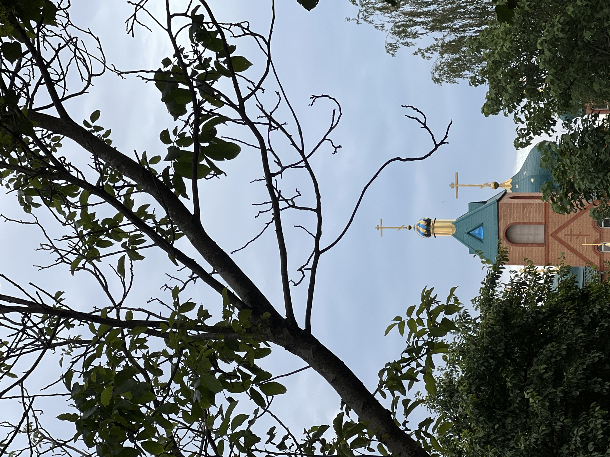 The image depicts a view of an Orthodox church, likely in Fontanka, Ukraine, framed by the branches and leaves of trees. The church features brick construction, with a prominent green roof and a golden dome topped with a cross. Another smaller green dome with a cross is also visible. The sky is overcast. The foreground is dominated by the dark silhouettes of tree branches, some bare and others with green leaves, creating a natural frame for the church architecture. Lush green foliage from trees partially obscures the lower portion of the church. The scene appears to be captured during daylight hours, under a cloudy sky. There are no people or animals visible in the image.