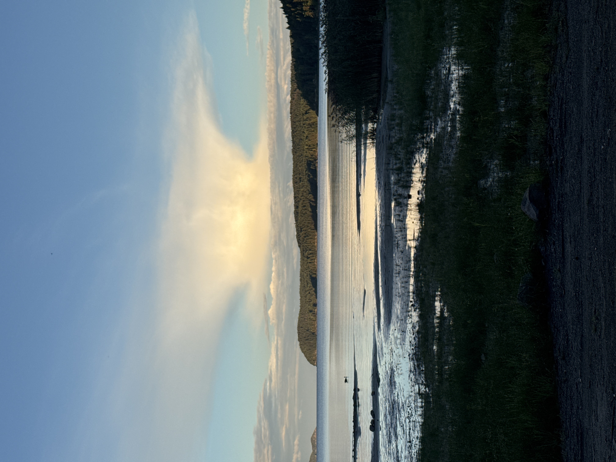 The image depicts a serene natural landscape during what appears to be either sunrise or sunset. A calm body of water dominates the middle ground, reflecting the soft light of the sky. In the distance, a lush, tree-covered island or peninsula stretches across the horizon, its silhouette a dark green against the lighter hues of the sky and water. Above the landmass, a striking cloud formation, illuminated by warm, golden light, resembles an anvil or mushroom shape, a prominent feature in the otherwise pale blue sky. The foreground consists of a muddy, shallow shoreline with patches of water and grass, hinting at a low tide or marshy area. A solitary bird is visible in the water to the left of the central landmass. The overall impression is one of tranquility and natural beauty. The location is specified as Tarulinna, Russia.