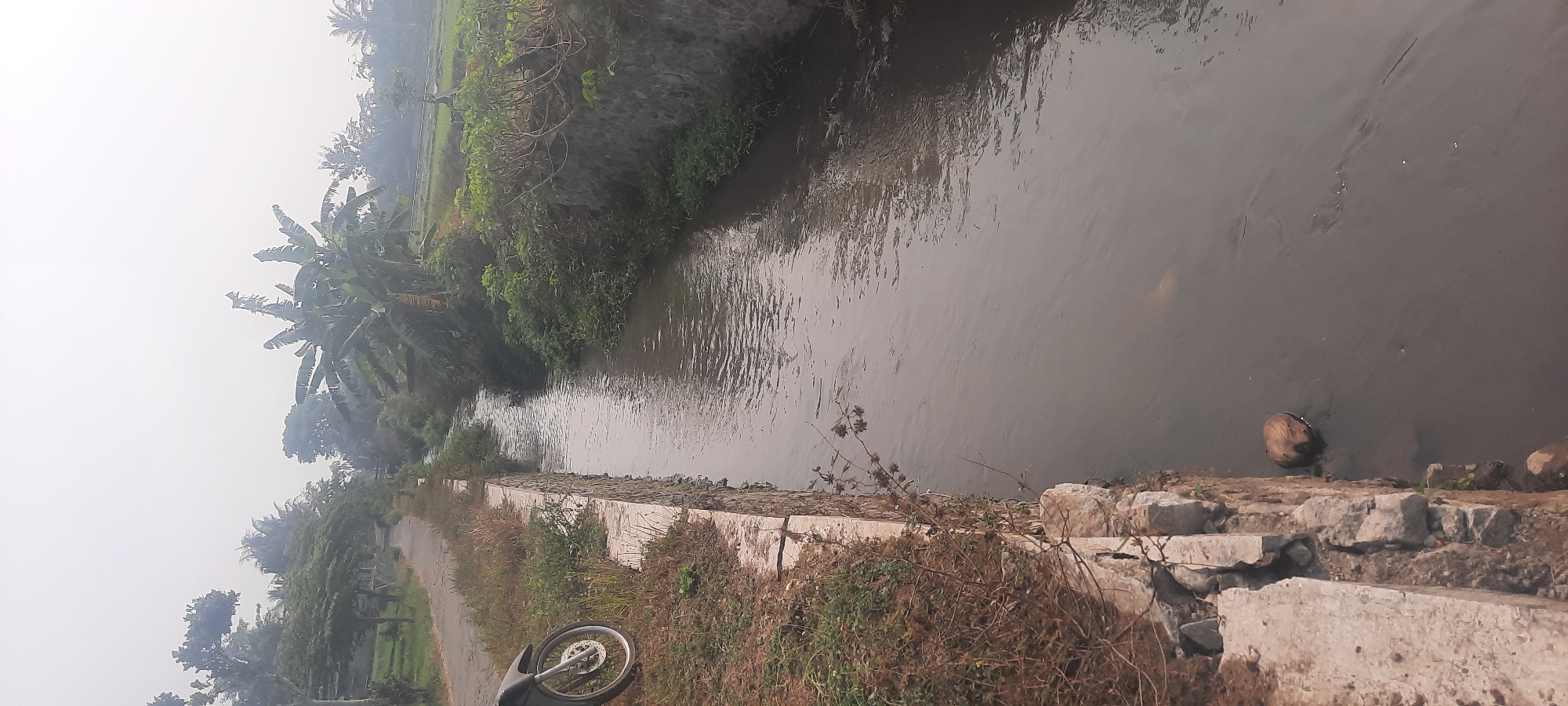 A tranquil waterway flows through a rural Indonesian landscape, possibly in the vicinity of Ploso, Indonesia, characterized by lush vegetation and a dirt road. The water, a murky brown, gently meanders between stone-lined banks, which are partially overgrown with grass and shrubs. On the left bank, a motorcycle wheel and part of its body are visible, suggesting a brief stop or parked vehicle. The background reveals a dense canopy of trees, including banana plants, interspersed with what appear to be rice paddies, hinting at the agricultural nature of the area. The sky is overcast, contributing to a soft, diffused light that bathes the scene in a serene, almost misty ambiance. The overall impression is one of peaceful rural life, undisturbed by urban bustle.