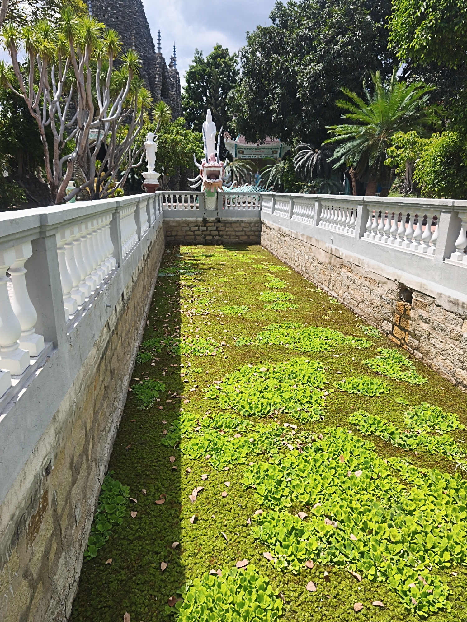 The image shows a long, rectangular pond filled with lush green aquatic plants, creating a vibrant carpet on the water's surface. The pond is bordered by a stone wall and a white, ornate railing. In the background, behind the railing and a line of trees, a large, imposing structure built from dark stones rises towards the sky, topped with several conical spires. To the right of this structure, a white statue of a standing figure is visible, alongside a colorful dragon sculpture. The environment suggests a spiritual or cultural site, likely a temple or pagoda, given the statues and the architectural style. The scene is bathed in bright sunlight, casting shadows on the water, indicating it is daytime. The presence of trees and the style of the building suggest a tropical or subtropical climate. The overall impression is one of tranquility and natural beauty juxtaposed with significant man-made structures. This scene is located at the Tu Van Pagoda in Cam Ranh, Vietnam, a famous Buddhist pagoda known for its unique architecture and sculptures.