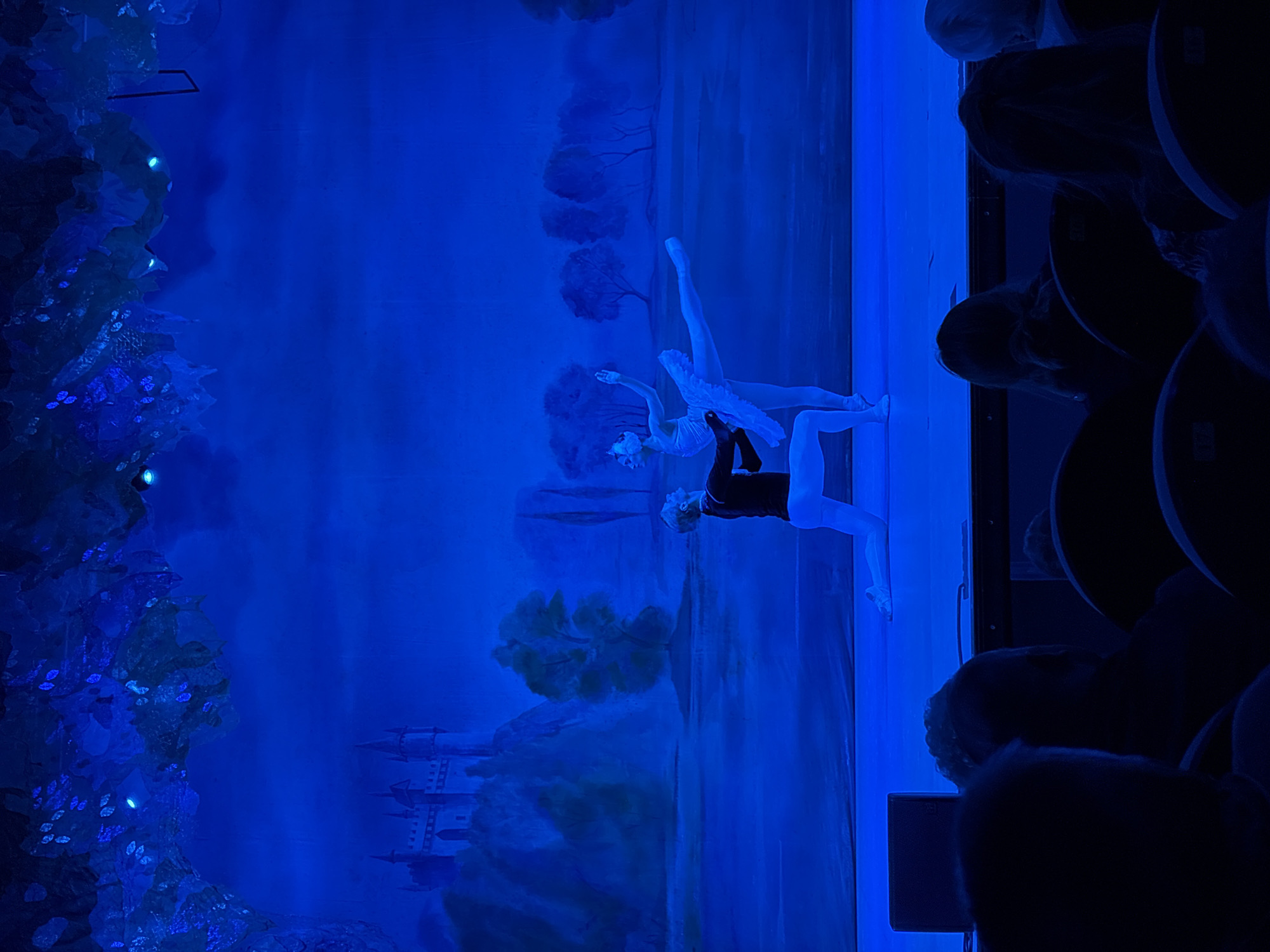 The image depicts a scene from a ballet performance, possibly Swan Lake, taking place in Ulyanovsk, Russia. Two ballet dancers, a male and a female, are in a pas de deux pose in front of a painted backdrop depicting a fairytale landscape with a castle and trees. The stage is lit with blue lighting, creating a dramatic and ethereal atmosphere. To the right of the stage are the dark silhouettes of audience members in theater seating.