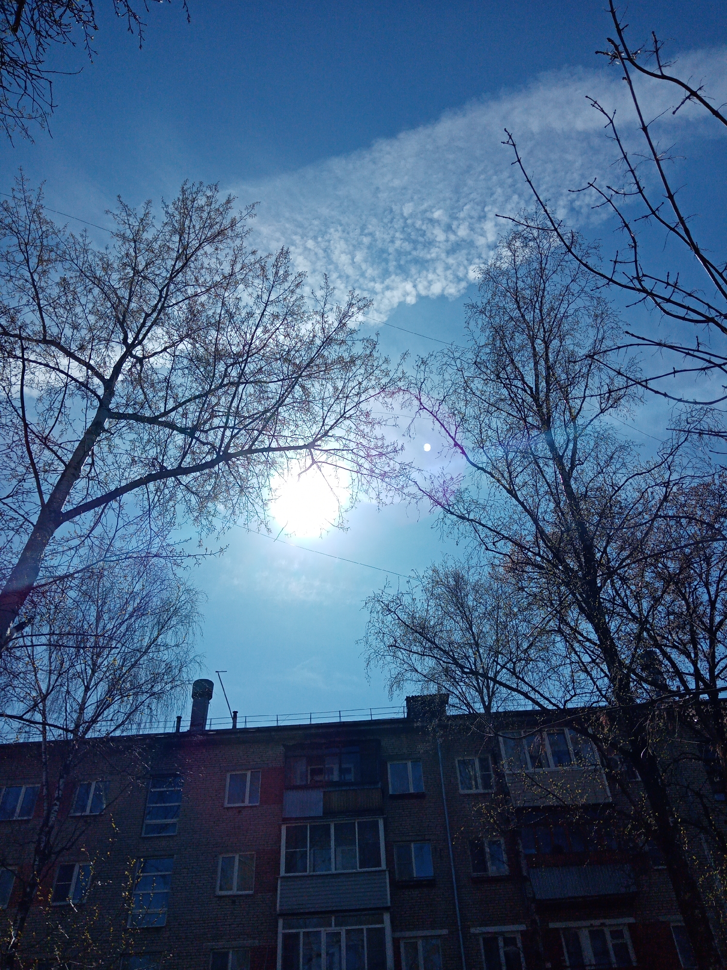A low-angle shot captures a multi-story residential building partially obscured by the bare branches of several trees, set against a bright blue sky with scattered clouds. The sun is prominently visible near the center of the frame, causing lens flare and backlighting the scene.
The building, likely an apartment block typical of Elektrostal, Russia, is constructed from light brown or reddish brick. It features numerous windows, some appearing modern with white frames, others older. Several balconies or loggias are visible, with at least one enclosed. A dark-colored chimney and what appears to be a metal railing or antenna are present on the roofline. Due to the backlighting, the building's facade is somewhat shadowed, enhancing the contrast with the bright sky.
The trees, possibly birches given their slender branches, are mostly bare, with only faint hints of budding leaves visible in some areas, suggesting early spring. Their intricate network of branches frames the upper part of the building and the sky.
The sky is a vibrant blue, with a prominent horizontal streak of white, wispy clouds (possibly cirrus) stretching across the upper half, and additional smaller, more scattered clouds elsewhere. The strong sunlight indicates daytime, likely mid-morning or afternoon. There is no discernible activity or people in the image, and no visible text.