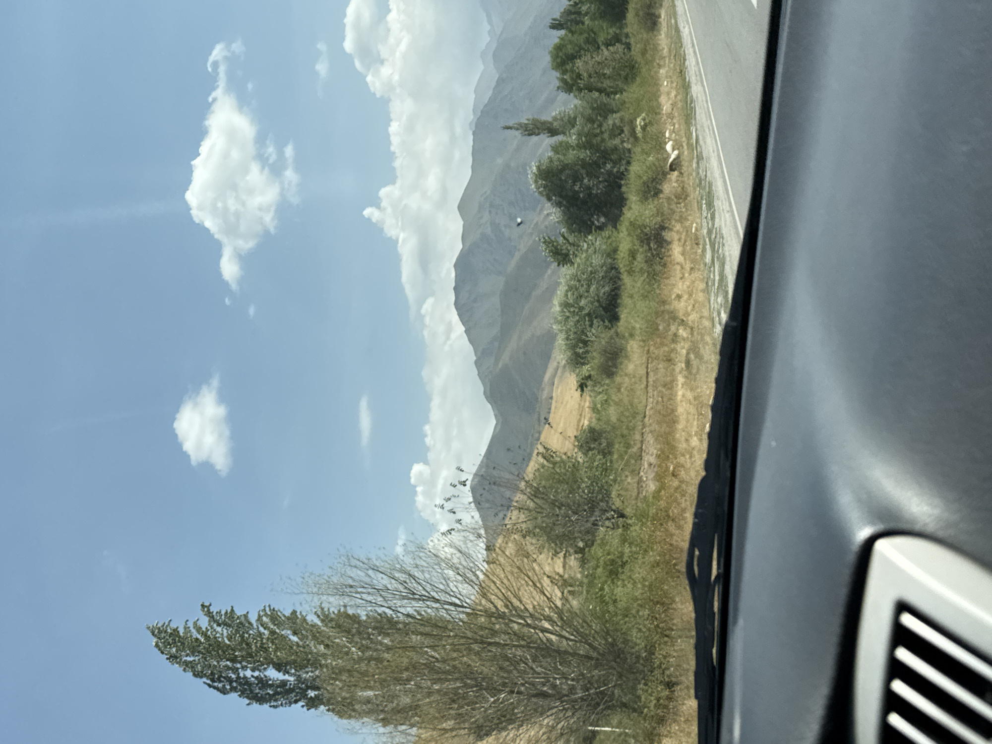 This is a scenic, eye-level, medium shot taken from inside a vehicle, looking out at a mountainous landscape under a partly cloudy blue sky. The foreground shows the dashboard and windshield of the car. Beyond the windshield, a road runs alongside a dry, grassy embankment dotted with various trees and shrubs. In the middle ground, a large, distinctive tree with sparse foliage stands prominently on the left. Further back, rolling hills transition into rugged, layered mountains that dominate the horizon. A small bird appears to be in flight in the middle distance. The scene captures a natural, rural environment characteristic of the outskirts of Koi-Tash, Kyrgyzstan.