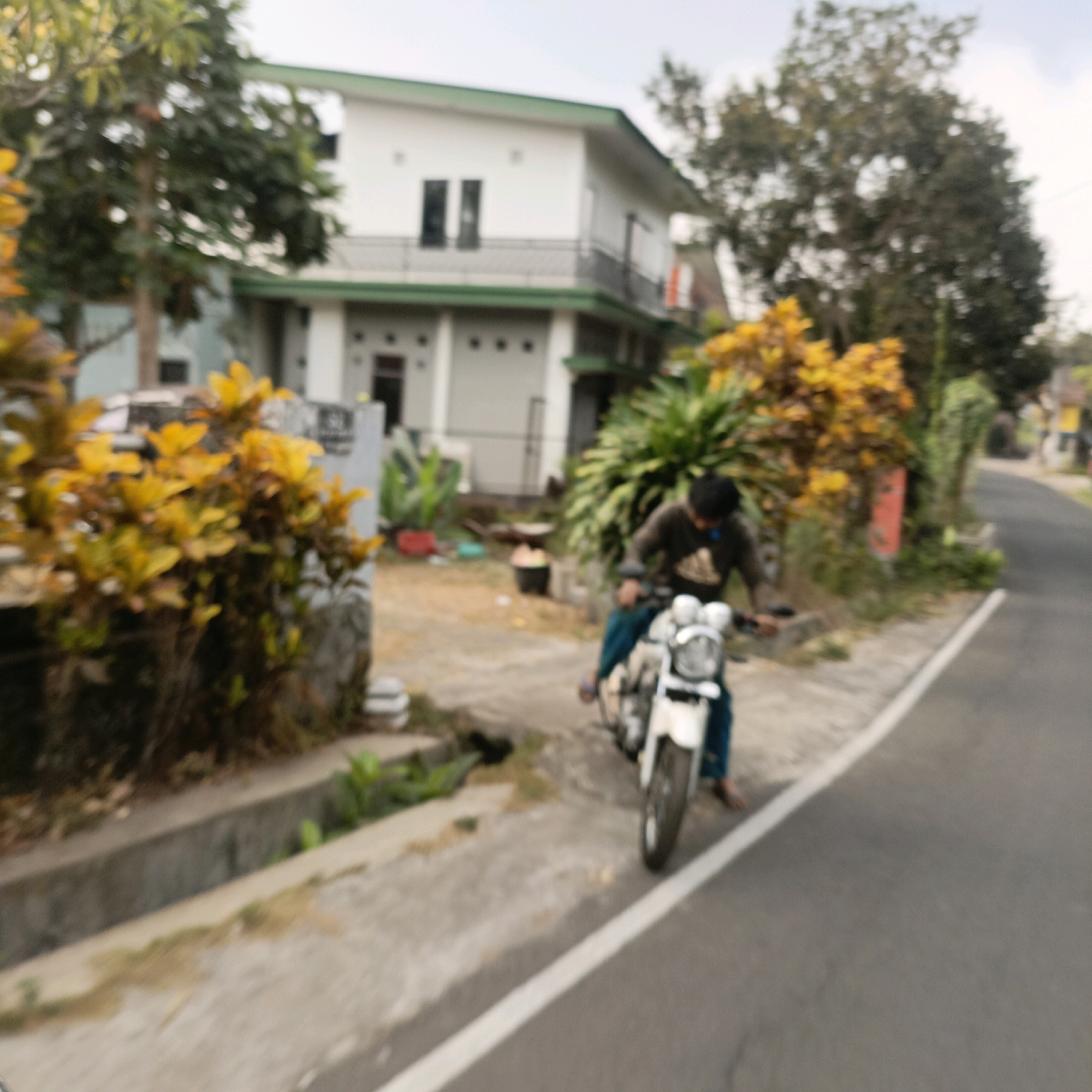 The image depicts a residential street scene in Salatiga, Indonesia. A person is riding a white motorcycle on the right side of the frame. The rider is wearing a dark long-sleeved shirt with an Adidas logo and blue pants. The motorcycle has two headlights. In the background, a two-story white house with a green roof is visible. The house has windows and a balcony on the second floor. Several trees and plants, including some with yellow foliage, are present around the house and along the street. A concrete gutter runs along the side of the road in the foreground. The road itself is asphalt with a white line marking the edge. The overall environment appears to be a suburban or semi-rural residential area.
