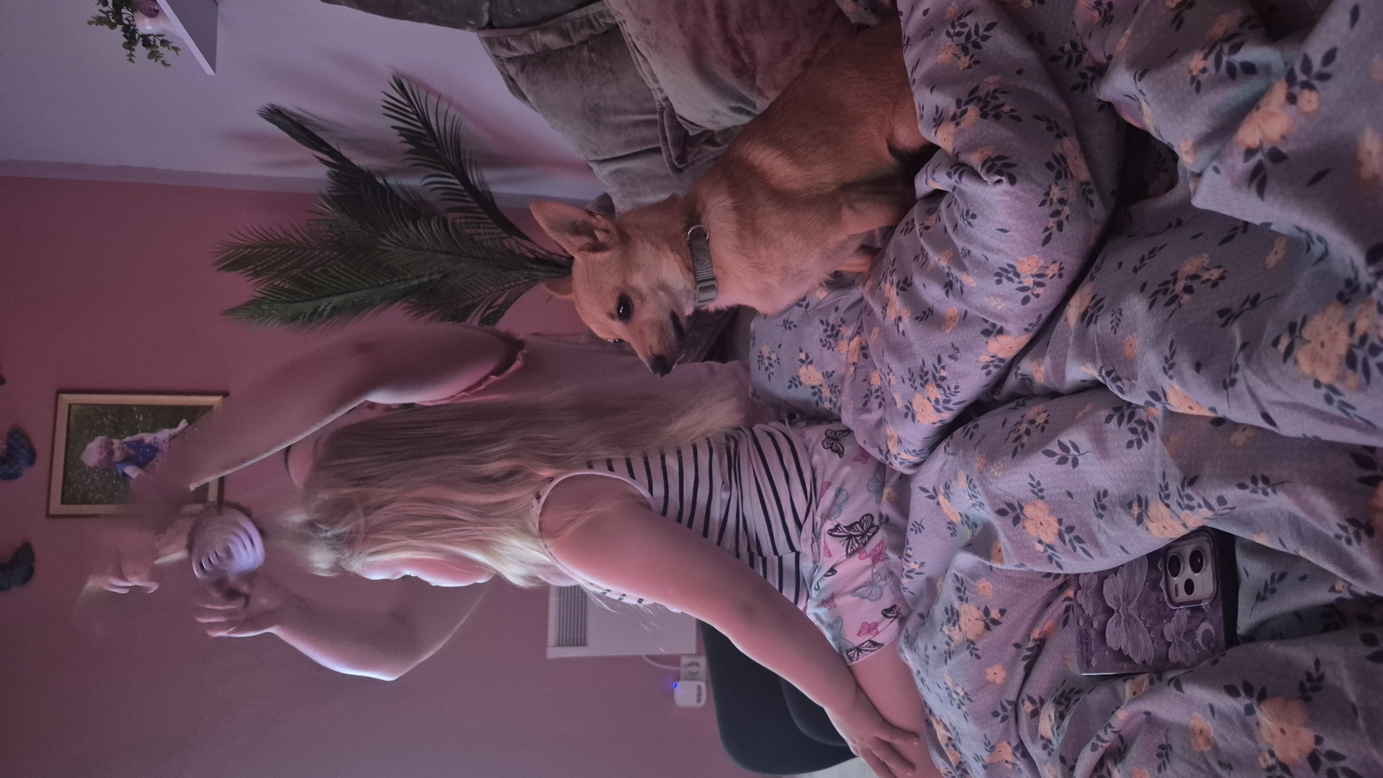 The media file depicts an indoor scene illuminated by soft, ambient lighting, likely artificial due to the purple hue. The primary subjects are a young person and a small, light-brown dog. The person is lying down, covered by a floral-patterned blanket, and appears to be engaged with a handheld device. Their long, blonde hair is spread out, and they are wearing striped pajamas. The dog is also nestled on the bed, looking towards the camera with a calm expression.
The setting is a bedroom, indicated by the presence of a bed with bedding, pillows, and a plant that appears to be artificial, placed on a shelf or wall mount. A framed picture of a child is visible on the pink wall. A cell phone with a decorative case is peeking out from under the blanket. The overall mood is relaxed and cozy, suggesting a nighttime or evening setting. The time of day is not explicitly stated but is implied by the low, artificial lighting. There are no clear weather cues. The location context is Švenčionys, Lithuania, but there are no specific visual elements in the image that confirm this location. No visible text is present in the image.