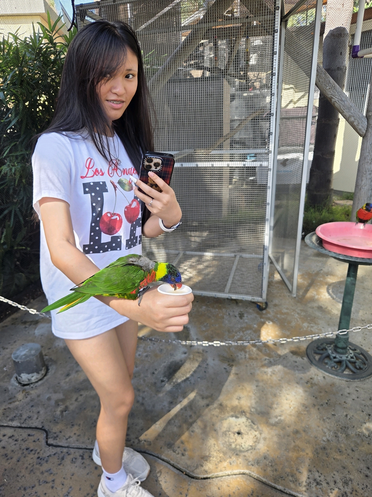 A young East Asian female stands outdoors in what appears to be an aviary, likely in Long Beach, United States of America, based on the "Los Angeles" text on her shirt. She is holding a smartphone in her right hand, capturing a selfie. Her left arm is extended, and a colorful parrot is perched on her forearm, drinking from a small white cup held in her hand. The parrot is predominantly green with blue, yellow, and red markings on its head and chest. The female is wearing a white t-shirt with a graphic of cherries and the words "Los Angeles," a ring on her left ring finger, and a white wristwatch on her left wrist. She has braces on her teeth and long, dark hair. The background consists of a large, wire-mesh enclosure, likely housing birds, with some greenery and a palm tree visible. A pink bird feeder is also visible to the right. The ground is a rough, concrete surface with some scattered debris and a metal chain barrier.
