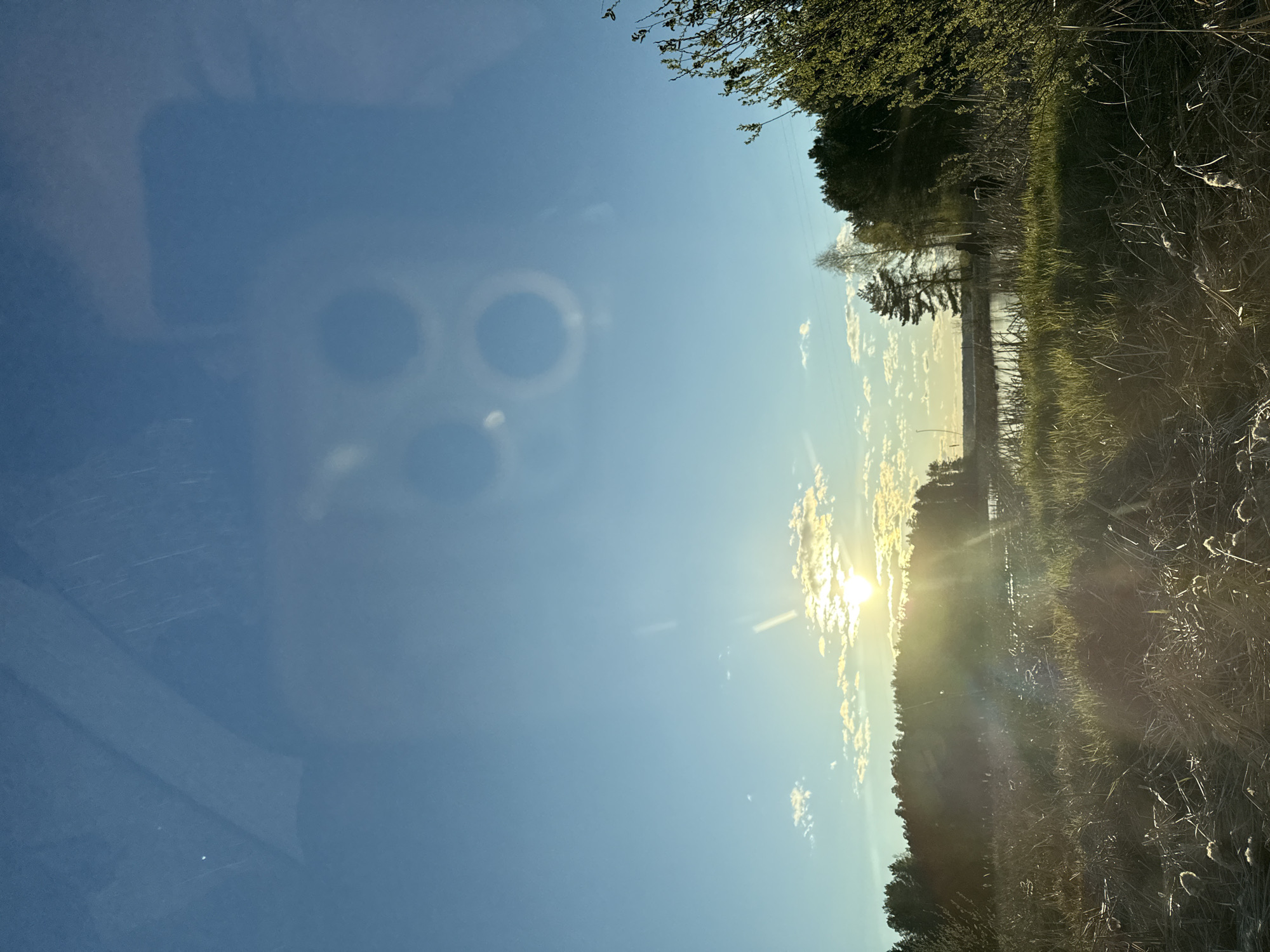 The image is taken through a car window, with a reflection of a phone's triple-lens camera visible in the upper left. The landscape outside features a sunny, clear sky. In the distance, trees line what appears to be a river or body of water. The foreground contains tall grasses and foliage along the roadside. The location is plausibly in a rural part of Chaikovsky, Russia, based on the natural landscape.