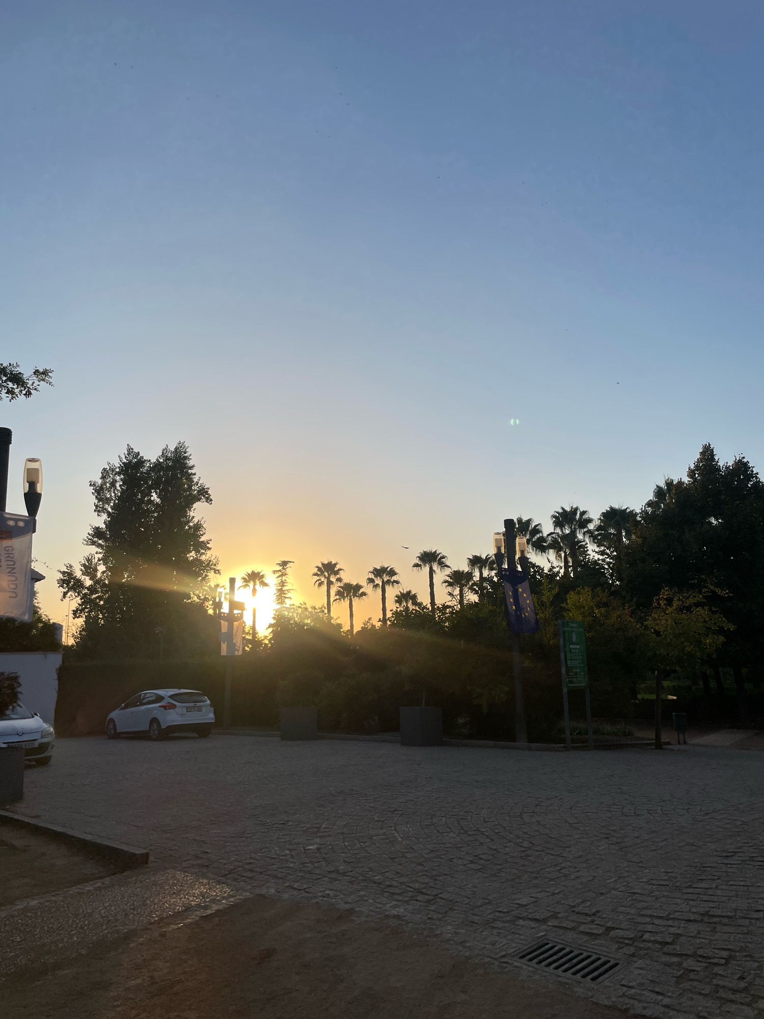 This is a wide-angle, eye-level, outdoor photograph taken during the golden hour, likely in Granada, Spain, given the presence of palm trees and the architectural style of the paving. The scene depicts a paved area, possibly a parking lot or plaza, constructed with cobblestones. Two cars are visible: a white Ford Focus in the middle ground, parked facing away from the camera, and the front portion of another white car on the left edge of the frame.
The background is dominated by lush green trees and a line of tall palm trees silhouetted against a gradient sky transitioning from pale blue at the top to a warm yellow and orange near the horizon, indicating a sunset or sunrise. Sunlight streams through the trees, creating lens flares and illuminating the scene with a warm glow.
Several lampposts are present. One on the far left has a sign with text that is partially obscured. Another lamppost in the center foreground is adorned with a blue flag featuring yellow stars, possibly representing the European Union. A green sign is mounted on a pole behind this lamppost.
The ground is a textured cobblestone surface, with a drain grate visible towards the bottom right. The overall atmosphere is serene and peaceful, with a hint of urban setting. There are no people visible in the frame. Several small, dark shapes, possibly birds, are visible in the sky.
