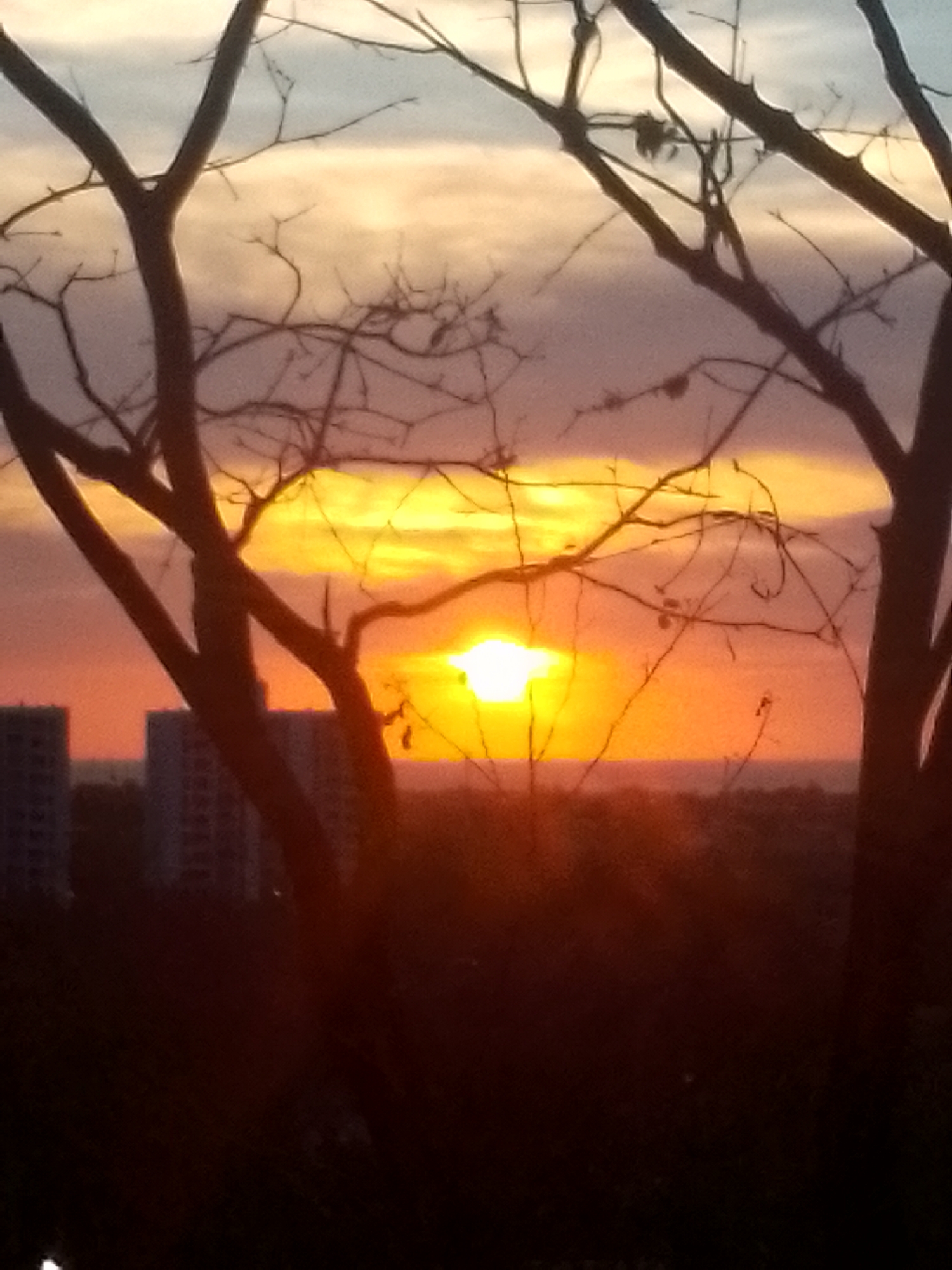 A silhouette of bare trees frames a sunset over Juan Griego, Venezuela. The sun is a bright white disc low on the horizon, shining through a break in orange and yellow clouds. Below the horizon is a darker landmass. To the left, two tall buildings are partially visible. The foreground is shadowed.