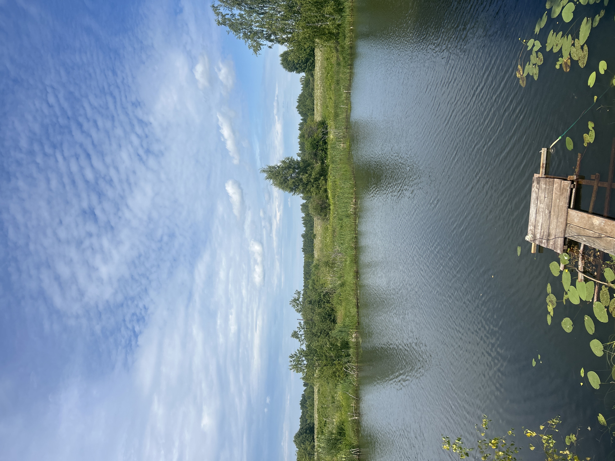 This media file depicts a serene waterscape in Shachebol, Russia. The scene is dominated by a calm body of water that occupies the right half of the frame. The water's surface is gently rippled, reflecting the blue sky above. Lily pads, a characteristic feature of calm waters, are scattered across the surface, adding a touch of natural beauty.
On the right side of the water, a rustic wooden pier juts out, suggesting a place for recreation or access to the water. A fishing rod, identifiable by its thin line and reel, is set up on the pier, indicating that fishing might be in progress or has recently taken place. The pier itself appears weathered, hinting at its age and frequent use.
The left side of the image showcases a lush green landscape, typical of a riverside or lakeside environment. Dense vegetation, including trees and tall grasses, lines the bank. The foliage is vibrant and healthy, suggesting a warm season, likely summer. In the distance, a line of trees forms a natural horizon.
The sky above is a brilliant blue, adorned with wispy white clouds that create an intricate, patterned texture. These clouds, along with the clear blue expanse, suggest a pleasant day with fair weather, likely midday given the bright illumination. The overall atmosphere is one of tranquility and natural beauty, evoking a sense of peace and quietude. There is no visible text in the image.