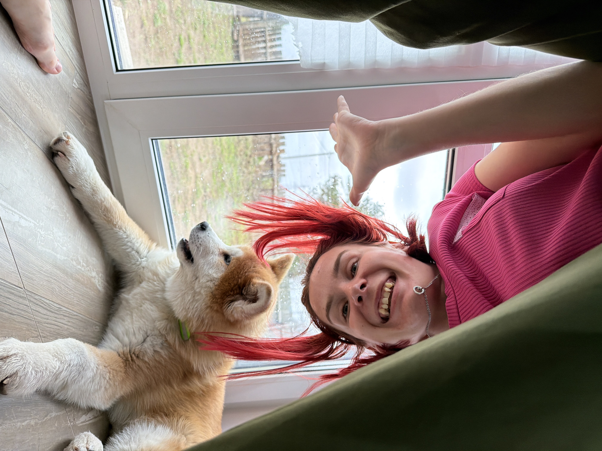 The image captures a playful moment indoors, likely in Chaikovsky, Russia, taken from a low, upward-looking perspective. A woman with vibrant red, spiky hair smiles broadly at the camera, her face on the right side of the frame. She is wearing a pink ribbed top and a silver necklace, with one arm extended towards the background. To her left, a light brown and white Akita dog, wearing a light green collar, lies on its back or side on the floor, looking upwards with an alert expression, its paws splayed out.
Both subjects are positioned on a light wood-patterned floor. In the background, a large window with white frames reveals an outdoor scene. Beyond the window, green foliage and a wooden fence are visible under an overcast sky. Streaks on the window glass suggest it might be raining or recently rained. A bare foot is partially visible in the upper left corner of the frame, near the dog's paw. A dark green fabric, possibly a blanket or clothing, partially frames the bottom and right edges of the image, creating a cozy and intimate feel. The overall mood is joyful and relaxed. No text is visible in the image.
