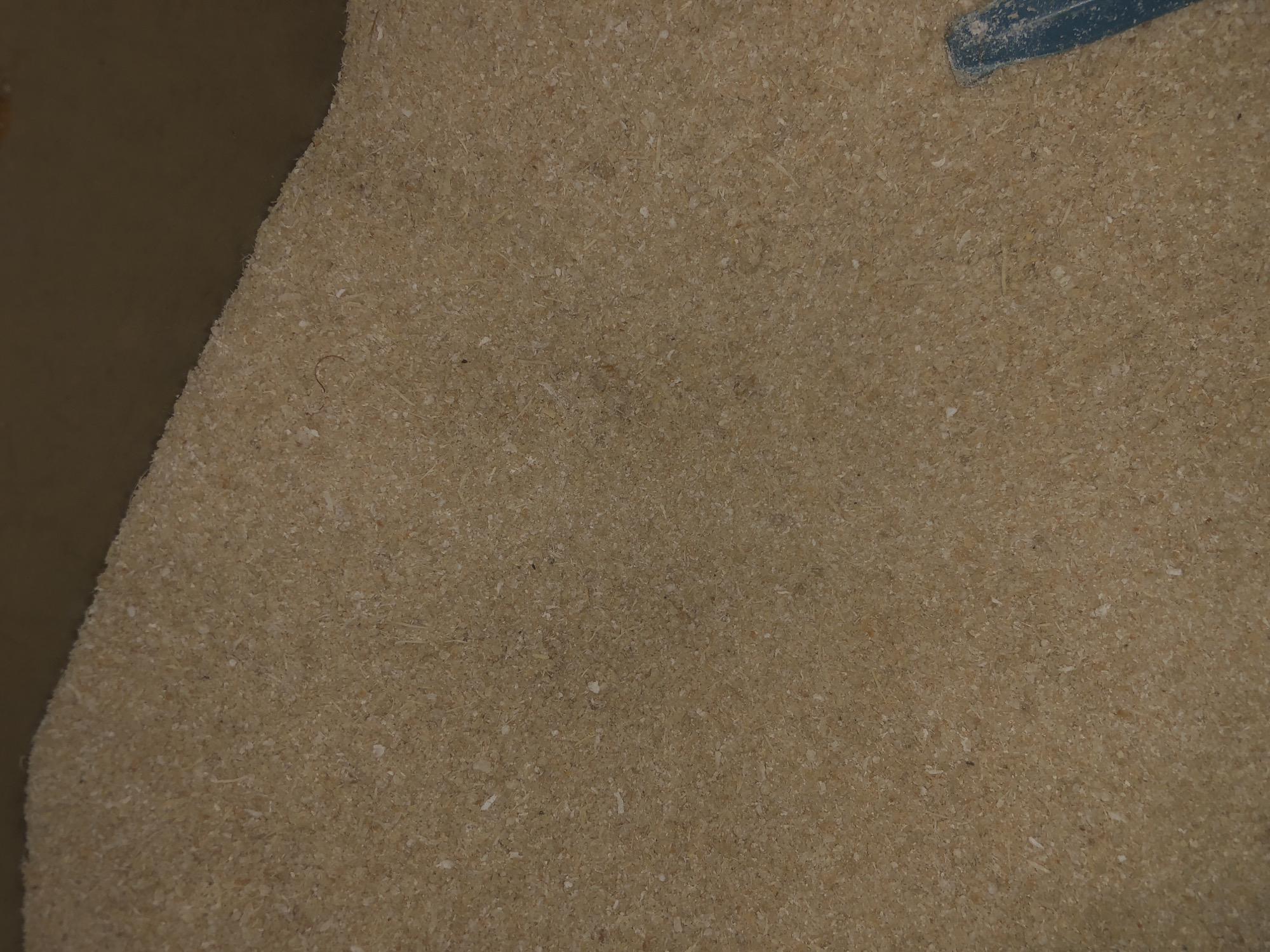 The image shows a close-up view of a pile of light brown, granular material, resembling sawdust or fine wood chips. The material fills most of the frame, with a dark brown surface visible at the top edge. A small portion of a dark blue object, possibly a tool or container edge, is visible in the lower right corner. The texture of the material is varied, with some finer particles and some larger, elongated fibers. The lighting appears to be from above, casting subtle shadows. This image does not contain any information about Ado, Nigeria, or any specific location within it.