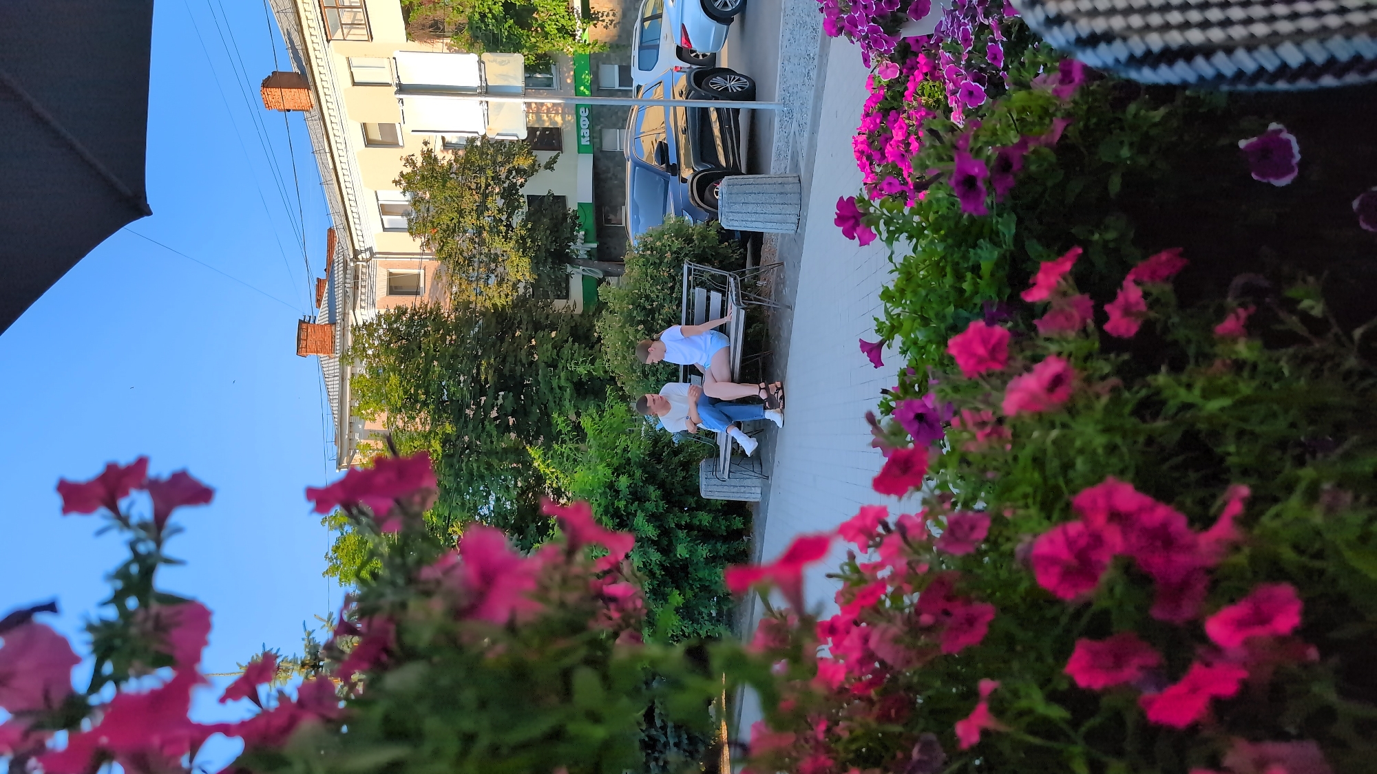 Two young people are sitting on a park bench outdoors, surrounded by lush green foliage and vibrant pink flowers. The woman is seated on the bench, leaning forward. The man is seated next to her, with his arm resting on the back of the bench. The scene appears to be a public park or a sidewalk with a park-like setting. The sun is casting a warm glow, suggesting it's likely daytime, possibly late afternoon or early evening given the lighting. The overall atmosphere seems relaxed and peaceful.
In the background, a building with multiple windows and a tiled roof is visible, along with trees and parked cars. One of the cars is black, and another appears to be white. A sign on the building reads "кафе", indicating the presence of a cafe. The sky is a clear blue. The foreground is dominated by out-of-focus pink flowers, adding a touch of color and softness to the image. A black umbrella is partially visible on the left side of the frame.