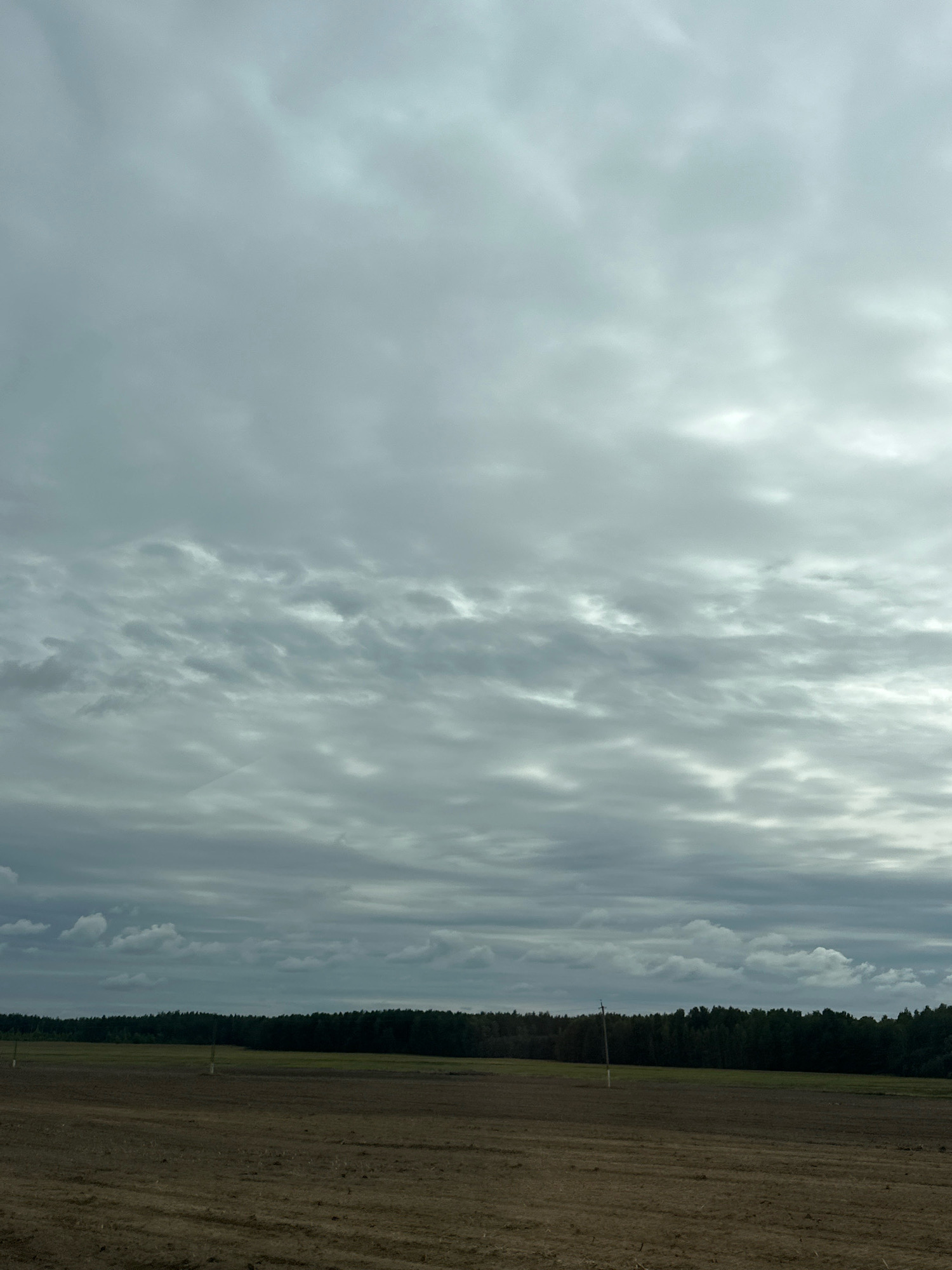 The image depicts a wide, overcast sky with layered clouds. Below the sky is a dark, dense line of trees forming a forest. In the foreground, there is a freshly plowed brown field with visible tire tracks. The scene appears to be a rural landscape in or near Краснаўскі сельскі Савет, Belarus. There are no people or animals visible in the image. The overall impression is one of a somber, agricultural setting under a cloudy sky.