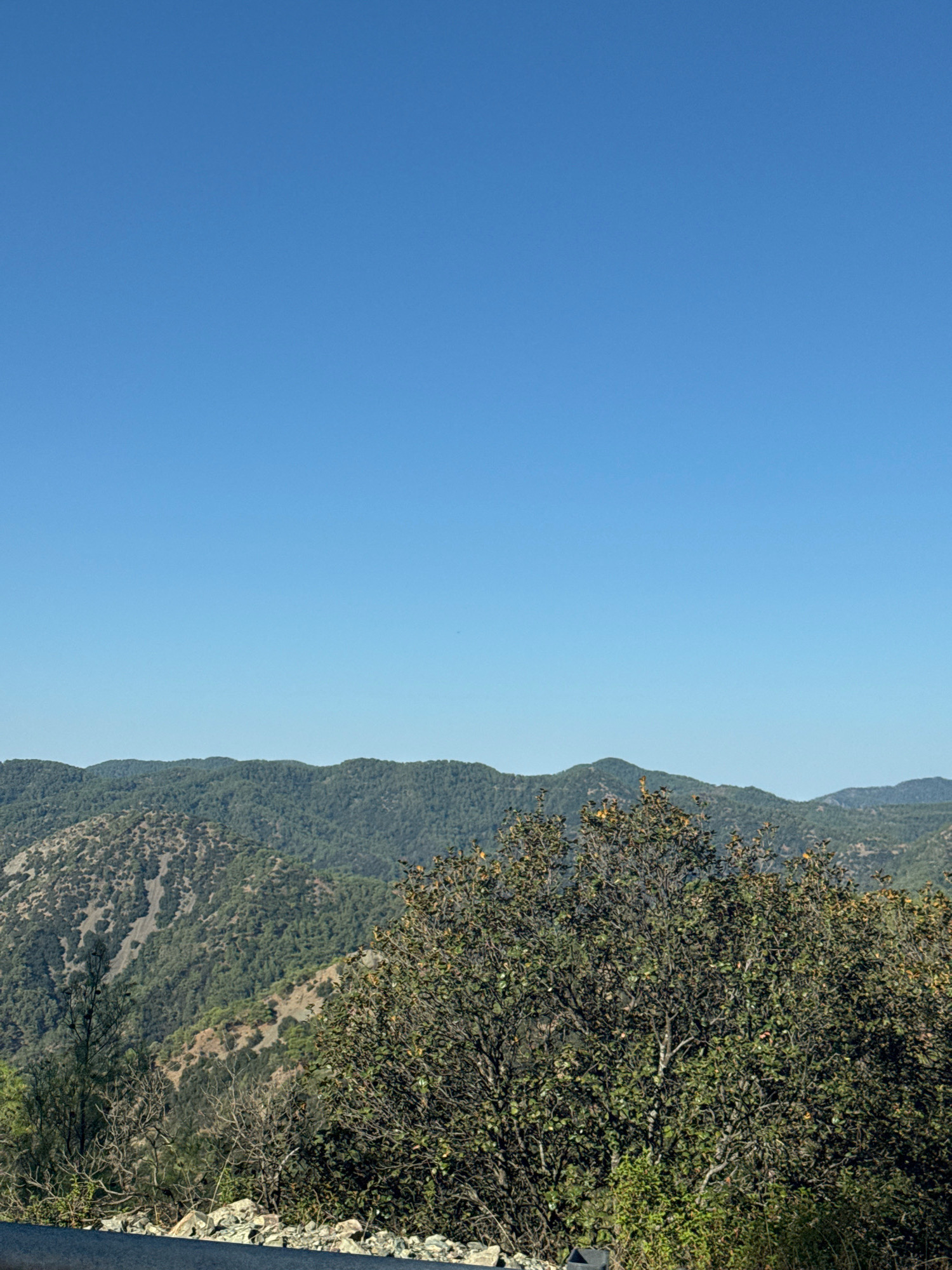 An outdoor, ground-level, eye-level, vertical, medium shot shows a bright, clear, and sunny day in the region of Mylikouri, Cyprus. The scene is dominated by a vast expanse of clear blue sky, taking up approximately the top two-thirds of the frame. Below the sky, a range of rolling green mountains stretches across the horizon, densely covered in trees and vegetation. The slopes of these mountains are varied, with some areas appearing rockier and lighter in color due to exposed soil and rock formations, contrasting with the darker, greener forested areas. In the foreground, a large, leafy green bush or tree is prominent, its branches and foliage filling a significant portion of the lower right quadrant. To the left of this bush, the tops of some dry, bare branches from a smaller tree are visible. At the very bottom of the image, a dark, asphalt-like surface runs horizontally across the frame, suggestive of a road or pathway. A scattering of greyish-white rocks and pebbles is also visible along the edge of this surface, leading up to the vegetation. The overall impression is one of a natural, mountainous landscape under a clear sky.