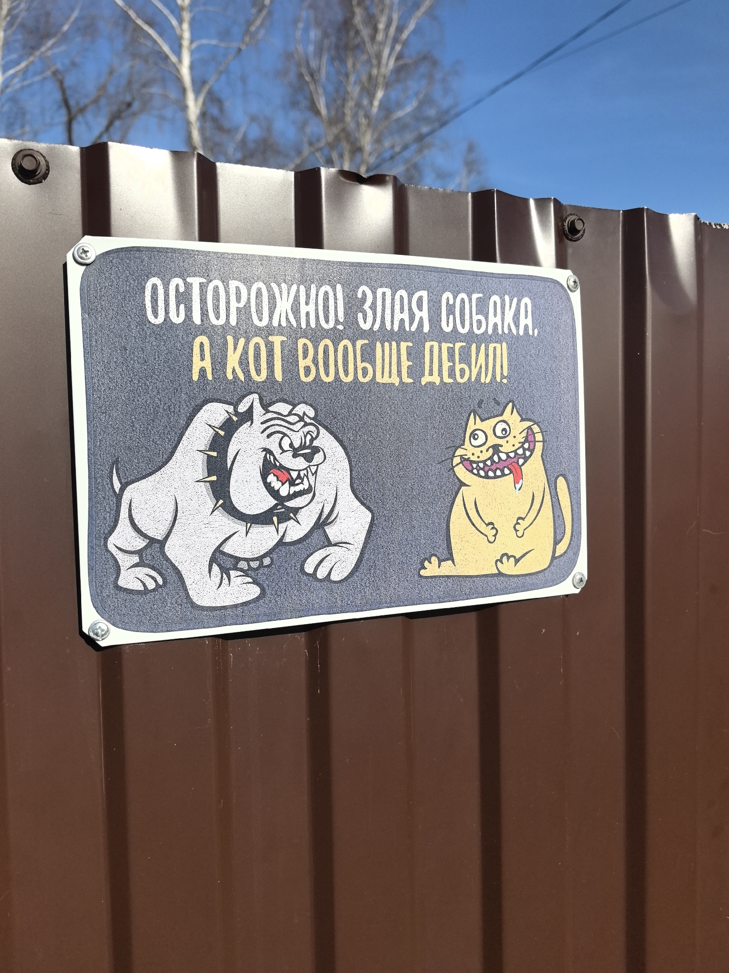 The image shows a warning sign attached to a brown metal fence. The sign features cartoon drawings of an angry dog and a cat, along with text in Russian: "ОСТОРОЖНО! ЗЛАЯ СОБАКА, А КОТ ВООБЩЕ ДЕБИЛ!", translating to "Warning! Angry dog, and the cat is a complete idiot!". The background indicates an outdoor setting with trees and a clear blue sky. The location is Noviy, Russia.