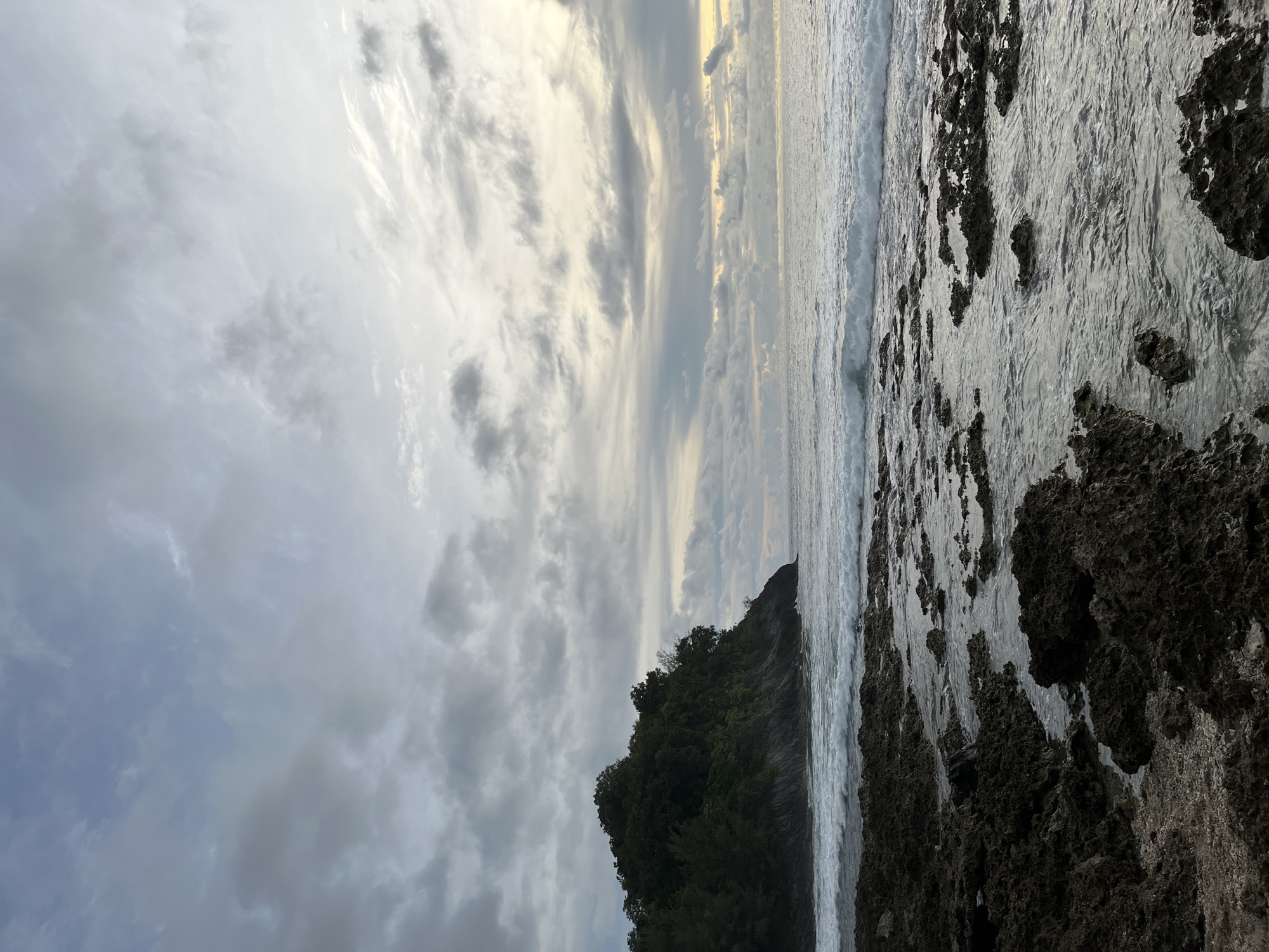 The image depicts a dramatic coastal scene under a cloudy sky, captured from a low angle looking towards the horizon. The frame is dominated by a rough, dark rock formation in the foreground, with the ocean on the left and a lush green, tree-covered cliff face on the right.
The ocean appears turbulent, with waves crashing against the rocks and receding. The water's surface is a light grey, reflecting the overcast sky. The sky itself is filled with a mix of dark, heavy clouds and lighter, streaky clouds, suggesting a dynamic weather pattern. Towards the horizon, there are hints of sunlight breaking through, casting a soft glow.
The cliff face is densely covered with dark green trees, creating a stark contrast with the lighter tones of the sky and sea. The rocks in the foreground are textured and jagged, appearing wet from the sea spray. The overall mood is one of raw, natural beauty, perhaps a bit moody due to the weather. The time of day appears to be either sunrise or sunset, given the soft light breaking through the clouds, but the overcast conditions make it difficult to pinpoint precisely. There is no visible text in the image.