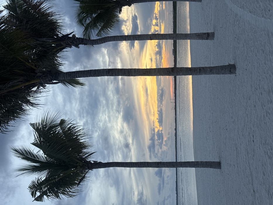 A picturesque view captures a beach scene with palm trees lining the shore. The sky is filled with a mix of gray and white clouds, tinged with yellow hues from the setting sun. The calm sea reflects the colors of the sky. Fine, pale sand makes up the beach, stretching along the coast. The palm trees are dark in color, their trunks vertical and the fronds creating a textured outline against the colorful sky.