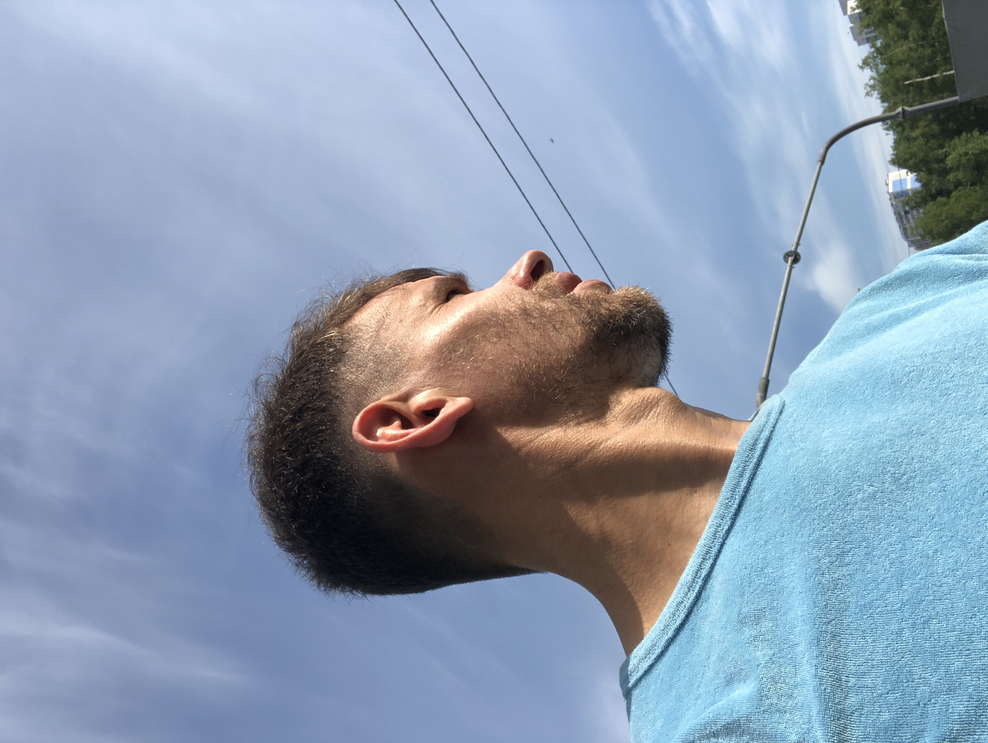 A profile view of an adult male, from the chest up, facing right, is captured against a clear blue sky with sparse, wispy white clouds. The subject has short, dark brown hair with a faded cut on the sides and a light brown beard and mustache. His skin is tanned, with strong sunlight illuminating his right ear, cheek, and neck, creating pronounced highlights and casting shadows on the left side of his face. He is wearing a light blue t-shirt with a distinct terry cloth texture and a ribbed collar. In the upper right quadrant of the sky, two thin, dark parallel lines, likely utility wires, traverse the frame horizontally. A tiny, dark, insect-like object is visible in the sky between these lines. Towards the lower right, a gray metal pole structure curves upwards into the frame. In the distant background, below the sky and behind the metal structure, a dense line of green trees is visible, with several multi-story urban buildings, some featuring blue architectural details, discernible behind the foliage. The scene is set outdoors in Saint Petersburg, Russia, under bright daylight conditions.