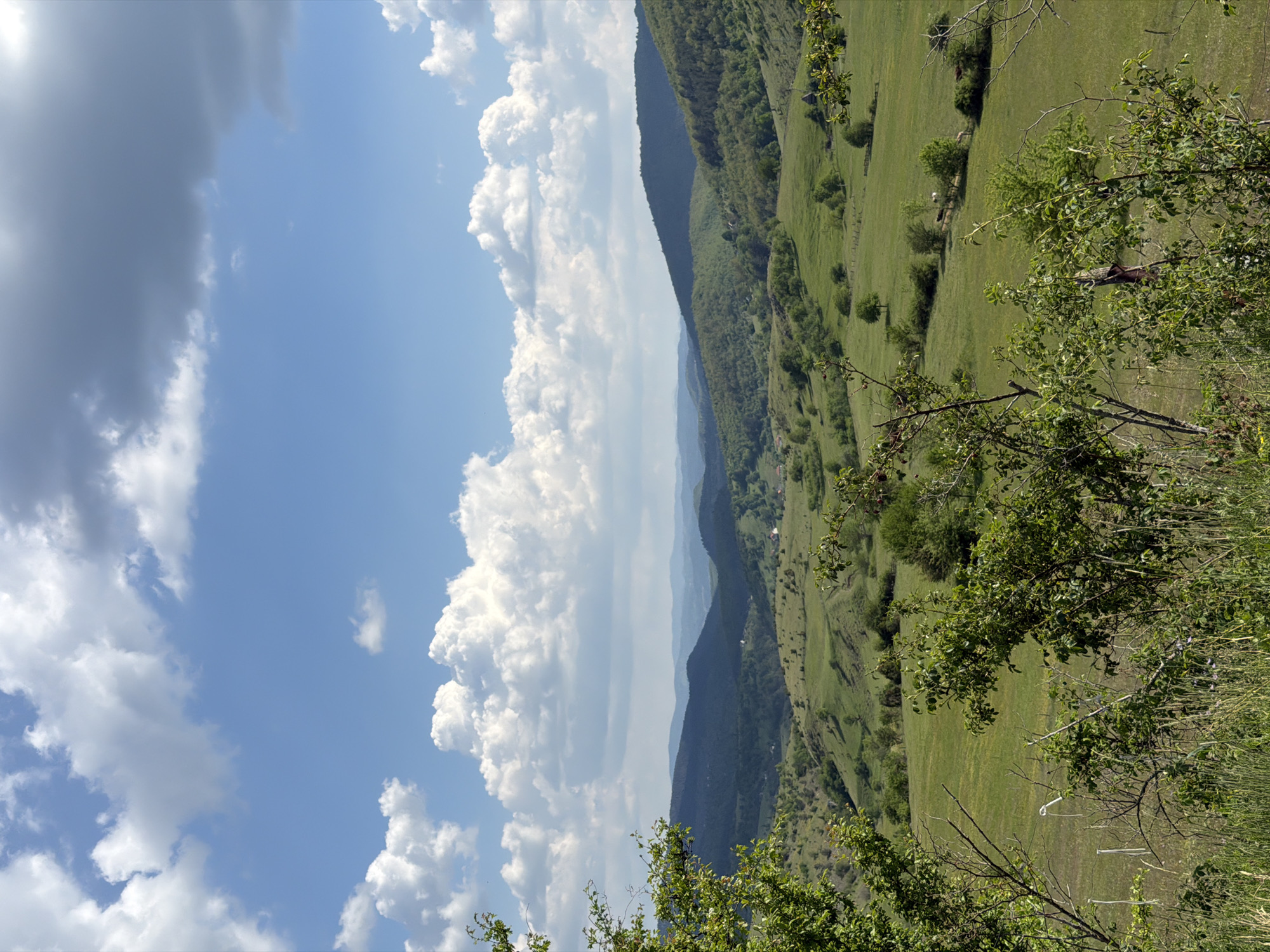 The image is a landscape view in Otilovići, Montenegro, showing a sky with cumulus clouds to the left and rolling green hills to the right. The hills are sparsely covered with trees and shrubs. In the foreground, there is dense foliage from a shrub. The background consists of a series of hills that fade into the distance.