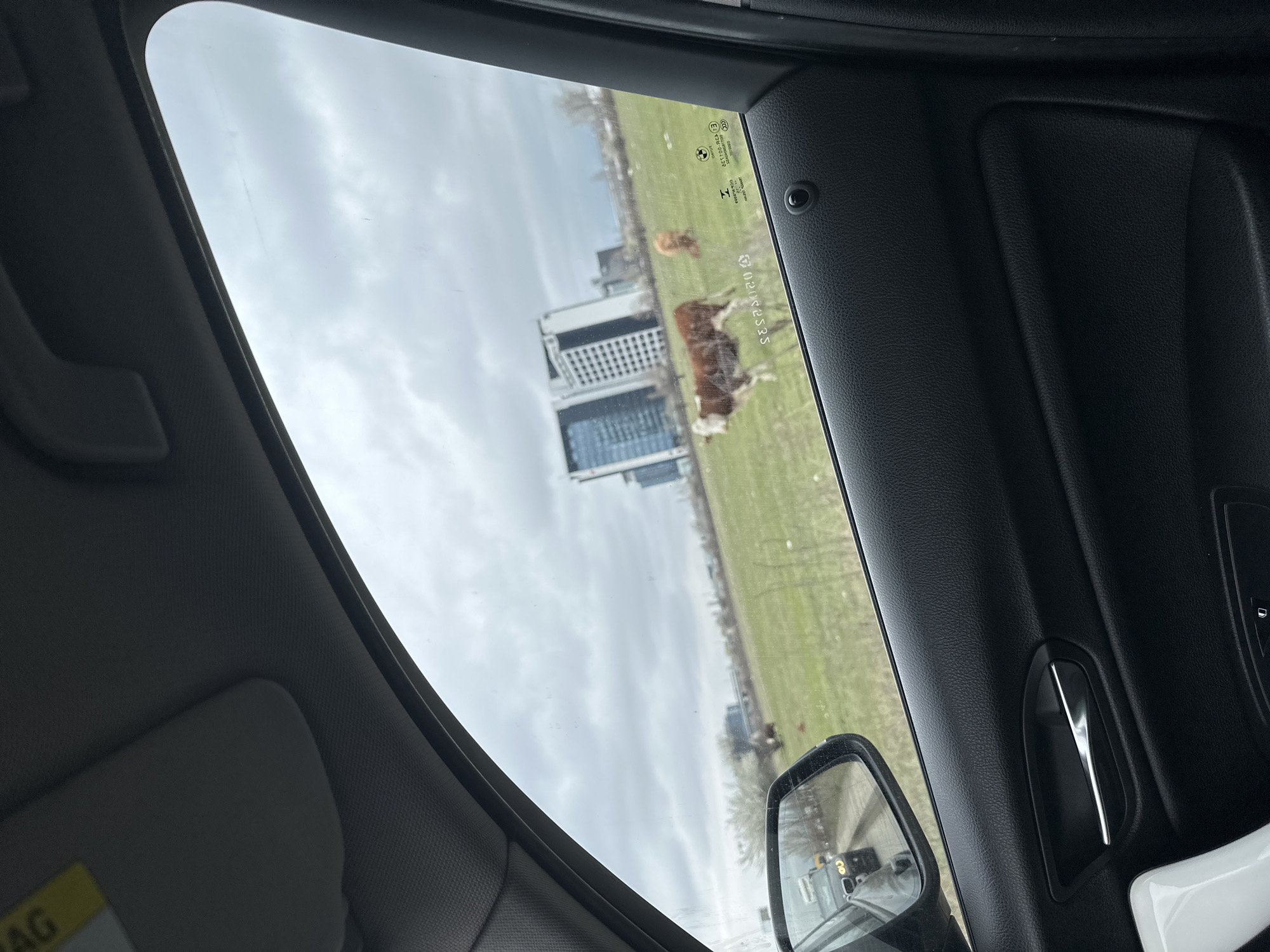 View from inside a car of a grassy field with two cows, a modern building, and a cloudy sky. The building appears to be the Capital Fort office complex in Sofia, Bulgaria. The view is through the car window, showing parts of the car's interior including the door panel, side mirror, and sun visor.