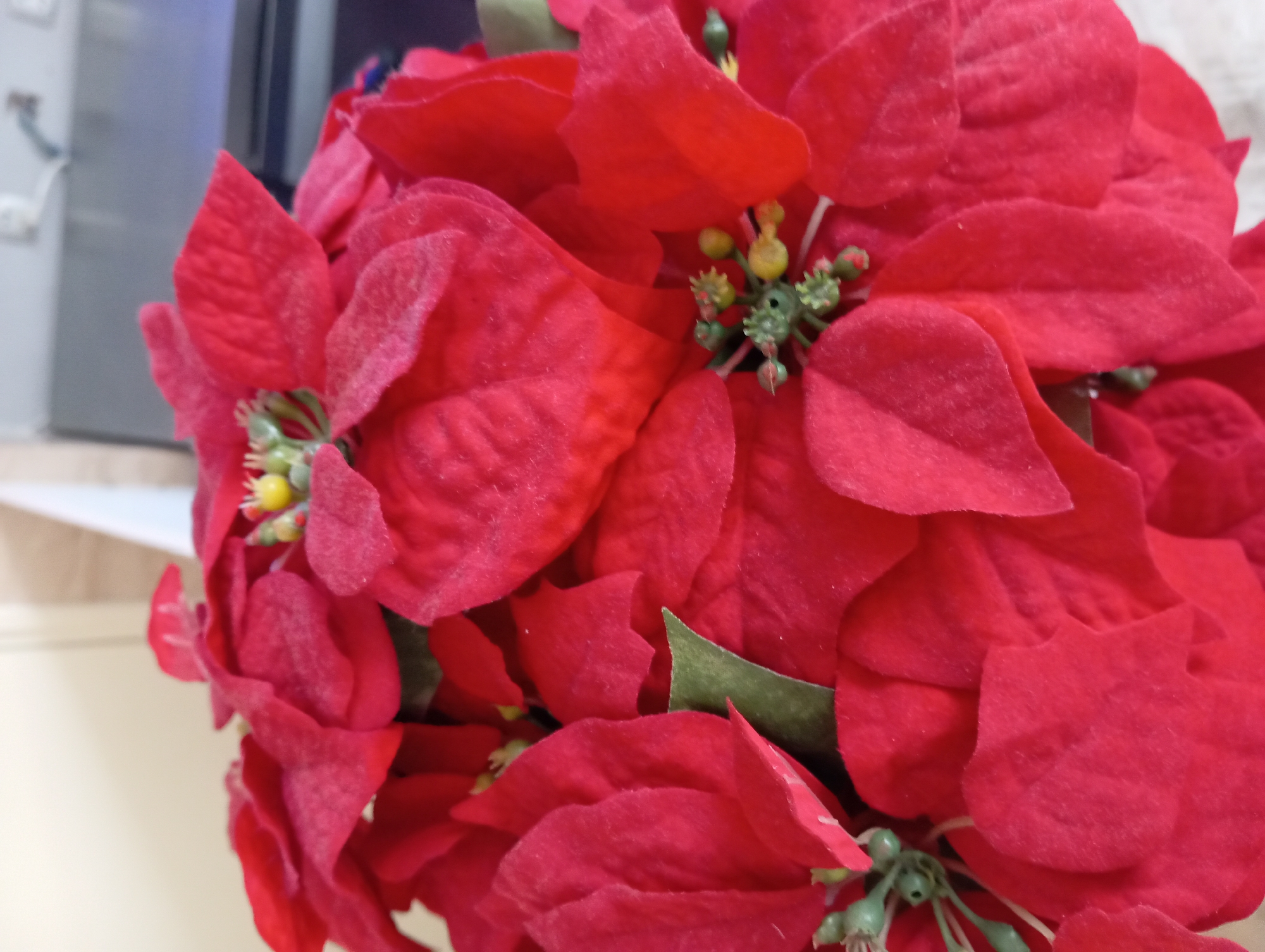 The image is a close-up shot of a cluster of artificial red poinsettias. The petals are a vibrant red, with a slightly fuzzy texture. Small green and yellow buds are visible in the center of some of the flowers. A few hints of green leaves are also interspersed among the red petals. The background is blurred, but appears to be an indoor setting with a light-colored wall and a dark countertop or surface. There is no visible indication of Nha Trang, Vietnam, in this image.