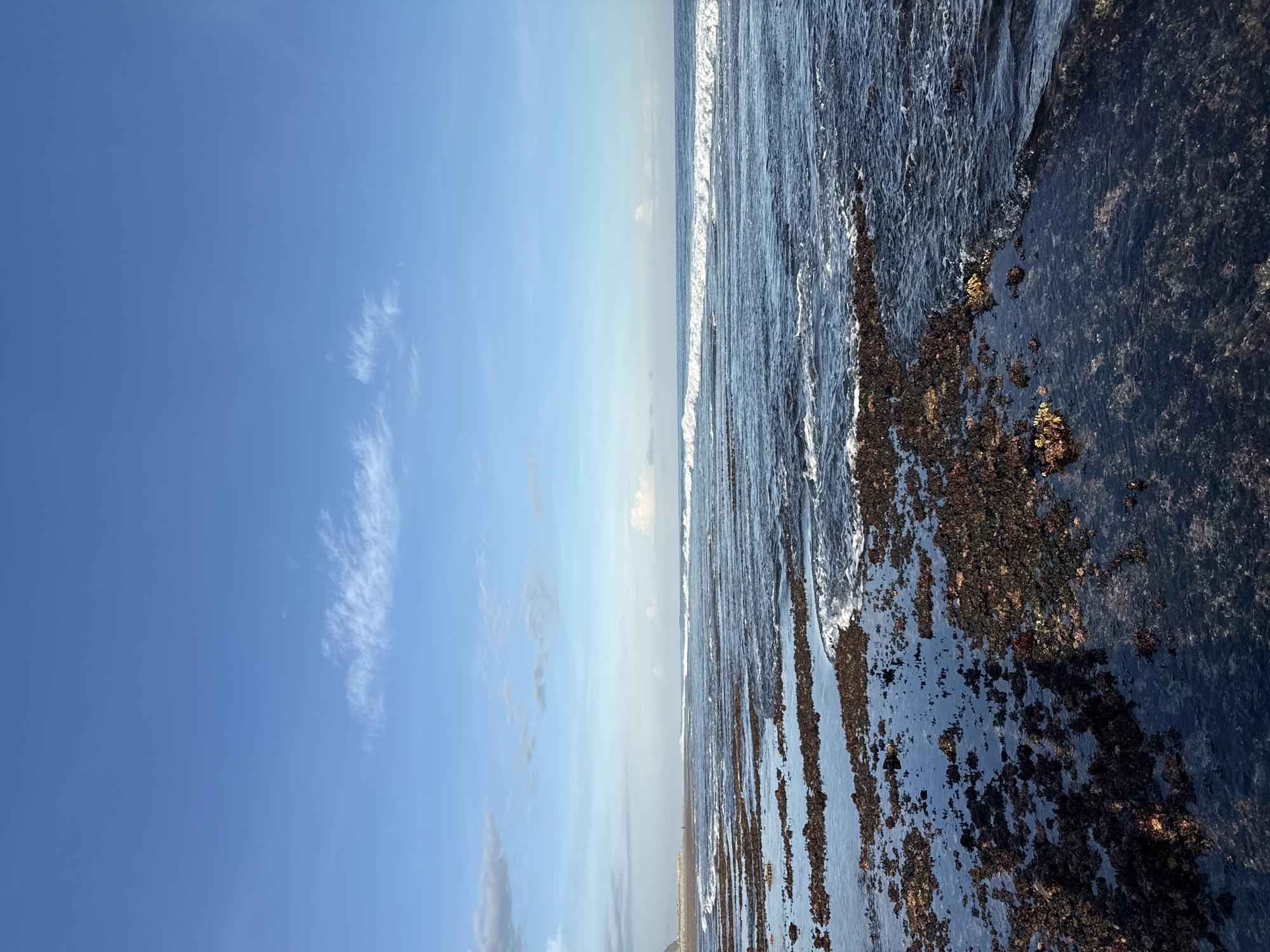 The image depicts a serene coastal landscape, likely in Kuta Selatan, Indonesia, under a clear, bright blue sky. The scene is dominated by the expanse of the ocean meeting a rocky shoreline.
The upper portion of the image shows a vast, azure sky, largely free of clouds, though a few wispy, white cirrus clouds are visible, particularly towards the left. The sun appears to be shining brightly, suggesting a daytime setting, possibly morning or early afternoon, given the crisp light and clear visibility.
A distinct horizon line separates the sky from the ocean, stretching across the middle of the frame. The water itself is a deep, dark blue, reflecting the sky and appearing tranquil yet with discernible wave activity. Gentle white-capped waves roll in towards the shore, indicating the rhythmic motion of the sea.
The foreground features an extensive rocky intertidal zone, partially submerged by the ocean. These dark, rugged rocks are covered in what appears to be seaweed or algae, giving them a textured, earthy brown and greenish-black appearance. Tidal pools and channels of water are visible between the rocky formations, reflecting the sky and adding depth to the scene. The interaction of the waves with the rocky structures creates patches of white foam.
There are no people, man-made objects, or visible text present in the image, emphasizing the natural beauty and untouched quality of the coastal environment.