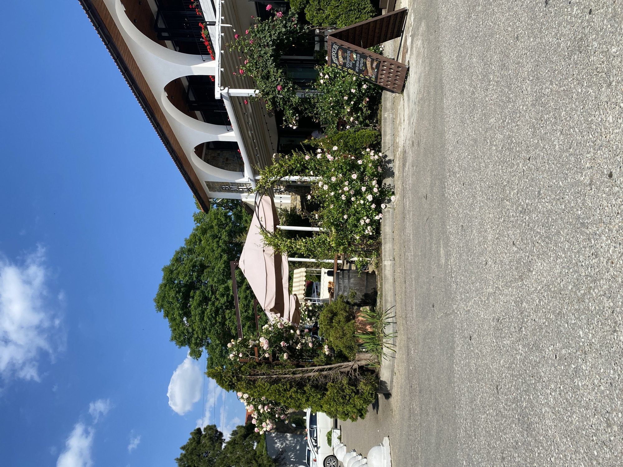 This image captures a picturesque outdoor scene in Abrau-Dyurso, Russia, on a bright, sunny day with a clear blue sky dotted with fluffy white clouds.
The central focus is the inviting entrance of a cafe or restaurant, housed in a white building with distinctive arched windows or balconies. These architectural features are adorned with window boxes spilling over with vibrant red flowers. The area around the entrance is lush with greenery, including numerous blooming bushes of light pink roses, which add a touch of romance to the setting.
An outdoor seating area is shaded by a large, light pink awning, with a smaller striped awning visible further back. A rustic, dark wooden A-frame chalkboard sign stands prominently on the sidewalk, advertising the establishment's offerings. The top of the sign clearly reads "ВИННЫЙ БАР" (Wine Bar) in Cyrillic, followed by a list of items such as "ШОКОЛАД" (Chocolate), "КОФЕ" (Coffee), "ЧАЙ" (Tea), "МОРОЖЕНОЕ" (Ice Cream), and "ЛИМОНАД" (Lemonade).
Large, verdant trees frame the scene, contributing to the tranquil atmosphere. A white car is partially visible, parked along the edge of the paved street, which runs across the foreground and right side of the image, bordered by small white bollards. The overall impression is that of a charming, European-style outdoor cafe, perfect for a leisurely visit.