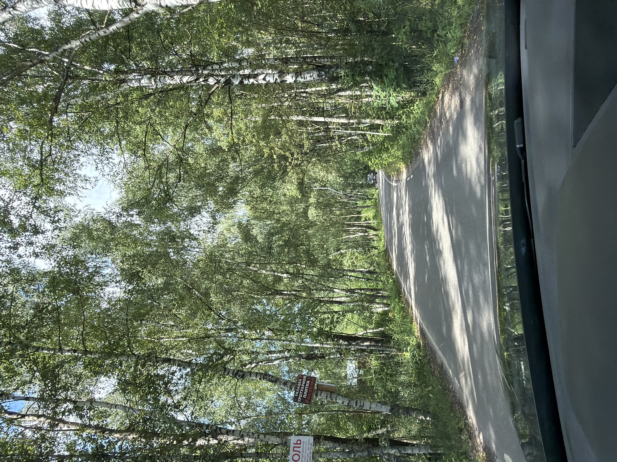 The image shows a paved road curving through a dense forest of birch trees. The trees have white, distinctive bark and are heavily leafed, indicating it is likely summer or late spring. Sunlight filters through the canopy, casting dappled shadows on the road. On the left side of the road, attached to a tree, are two signs. The upper sign is partially visible and appears to be white with red lettering. The lower sign is red with white lettering and reads "УКЛАДКА ТРОТУАРНОЙ ПЛИТКИ," which translates to "Laying Paving Slabs." Further down the road, a dark-colored car is visible in the distance. The scene is captured from the perspective of someone inside a vehicle, as the dashboard is visible in the foreground. The overall impression is of a rural or suburban road surrounded by natural woodland. The location is specified as the city of Imeni Vorovskogo, Russia.