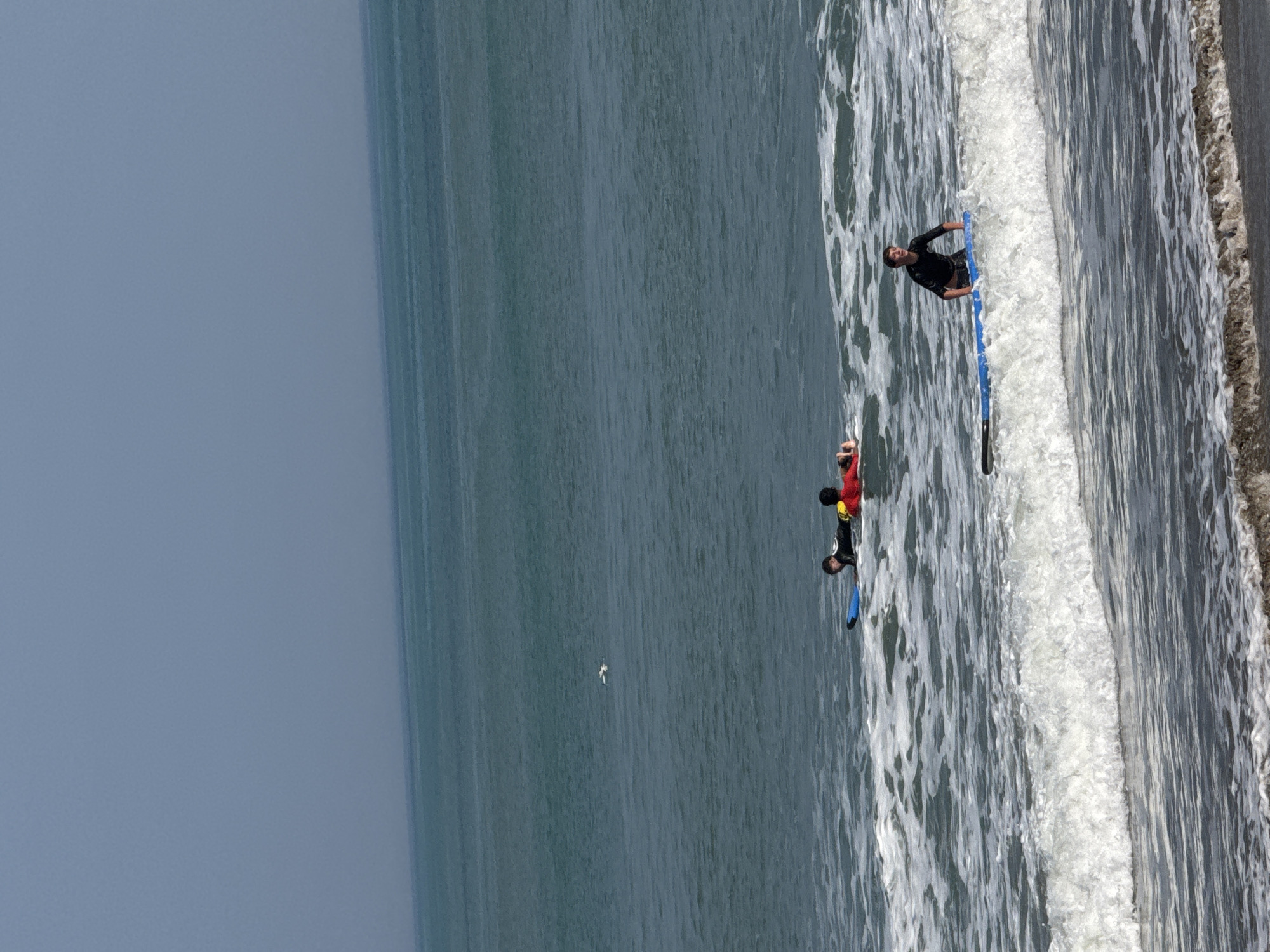 In the ocean off Kuta, Indonesia, a group of individuals are engaged in watersports. Two people are lying prone on surfboards, one wearing a red top and the other a black top with a red trim. Another person, wearing a black wetsuit, is paddling a blue surfboard. The water is a deep green-blue, with white waves breaking closer to the shore. A white bird is visible in the distance, flying over the water. The sky is a pale blue, hazy with a faint horizon line.