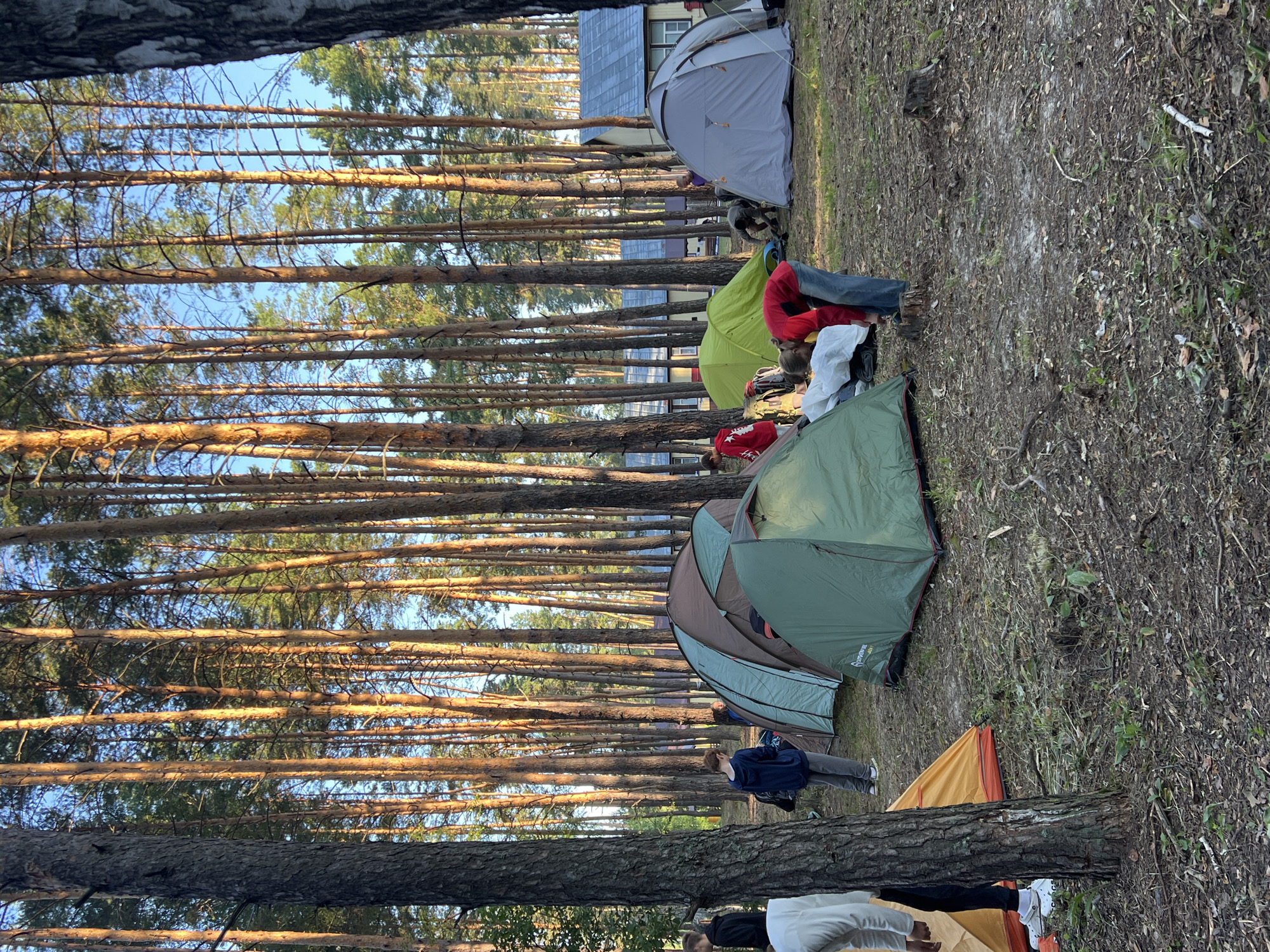 The image depicts a campsite in a forest with tall pine trees. Several tents of various colors, including green, brown, and grey, are set up on the ground. There are several people present, some of whom appear to be engaged in setting up or organizing the tents. One person in a red jacket is bent over near a tent, while others are standing or walking around the campsite. In the background, there are some buildings with grey roofs. The ground is covered with pine needles, leaves, and some scattered branches. The lighting suggests it is either early morning or late afternoon, with sunlight filtering through the trees. The location is described as the city of Penza, Russia, specifically within a wooded area.