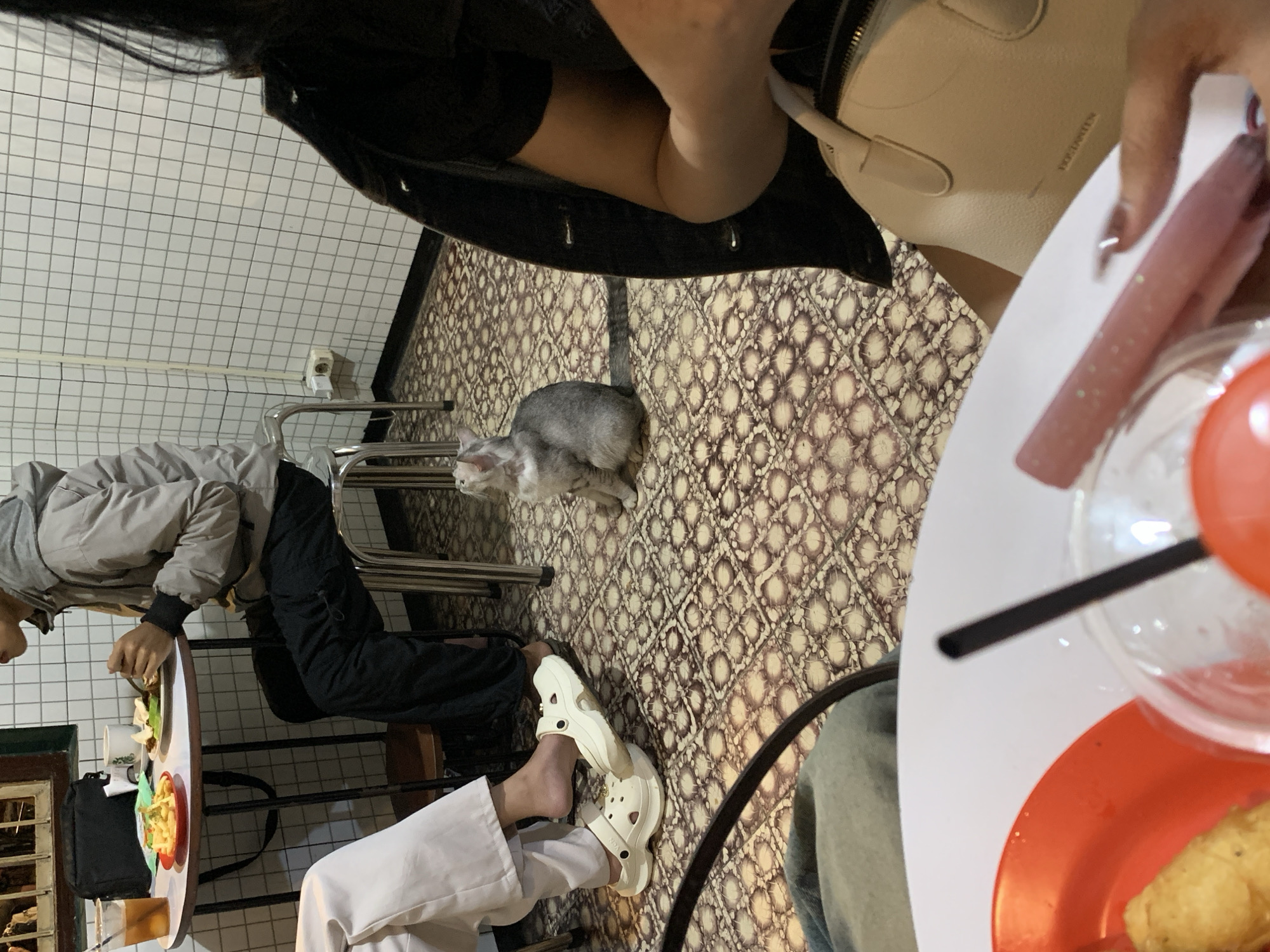The scene is an outdoor cafe in Tamanbaru, Indonesia. A grey cat is sitting on the floor with patterned tiles, near the feet of patrons seated at tables. One person is wearing white sandals. Another is wearing white pants. A person is eating at a table. A person is wearing a black jacket and holding a white purse. There is a drink on the table. A black straw is in the drink. There is a plate on the table with food.