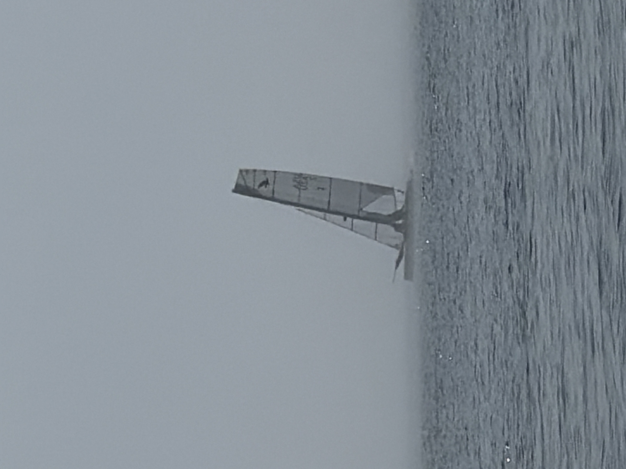 A single, lone sailboat is captured on the water in front of a fog-covered sky. The sailboat is a catamaran with a single tall sail. The sail has markings on it, including what appears to be a bird emblem and some numbers, possibly a sail number or designation, along with the letters "USA". The boat is angled, suggesting it is in motion. The water is choppy with ripples, indicating a breeze. The background is obscured by thick fog, rendering any city skyline or geographical landmarks, such as those in Toronto, Canada, completely invisible. The overall mood is one of isolation and quiet, with the fog creating a sense of mystery and detachment from the surroundings.