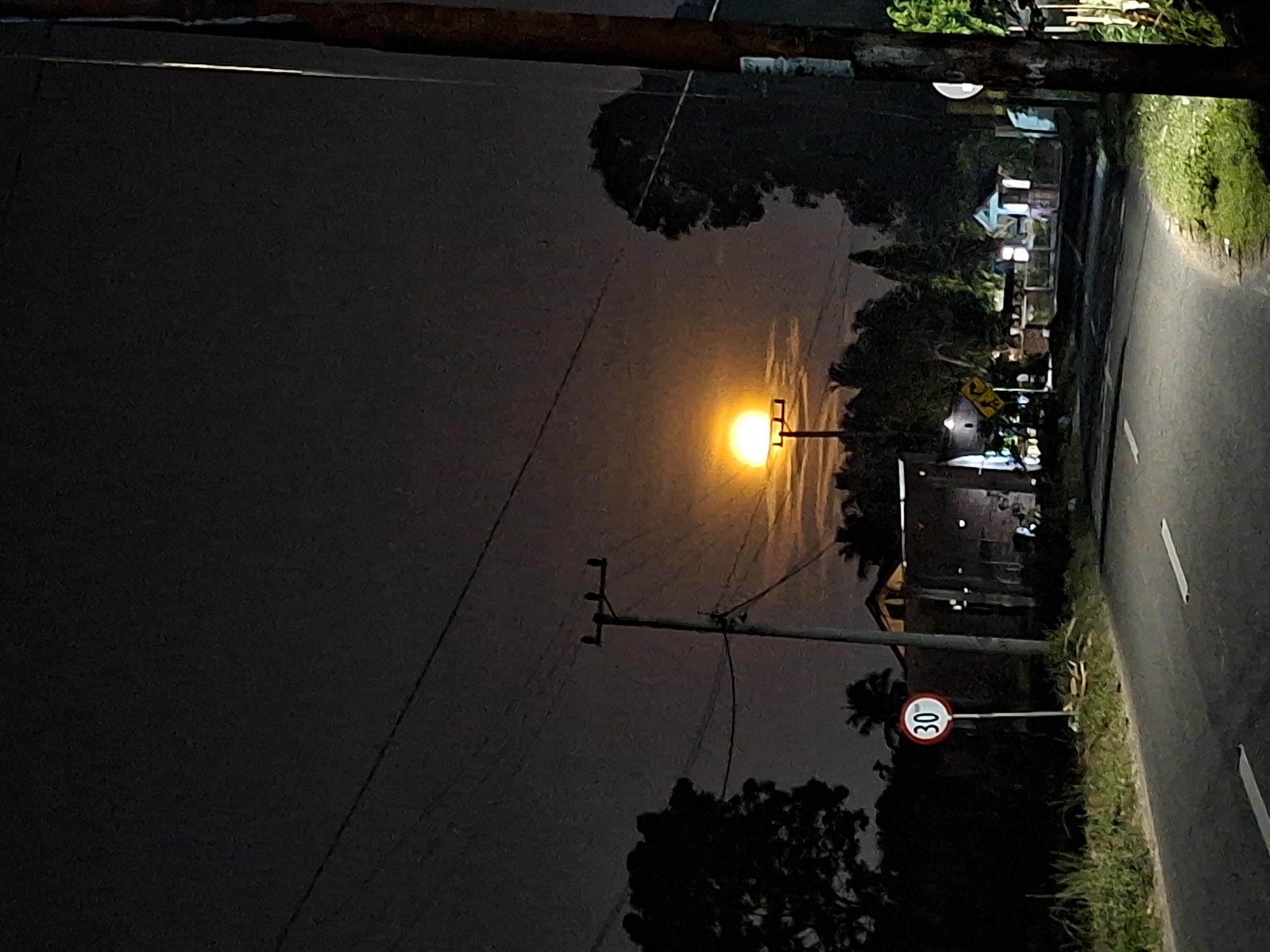 Observed in Kutaglumpang, Indonesia, the scene is a night view of a road illuminated by a street lamp. Adjacent to the road is a grassy area. A road sign indicating a speed limit of 30 is present. Utility poles and power lines are visible. Trees line the road. The sky is dark, suggesting it is nighttime.