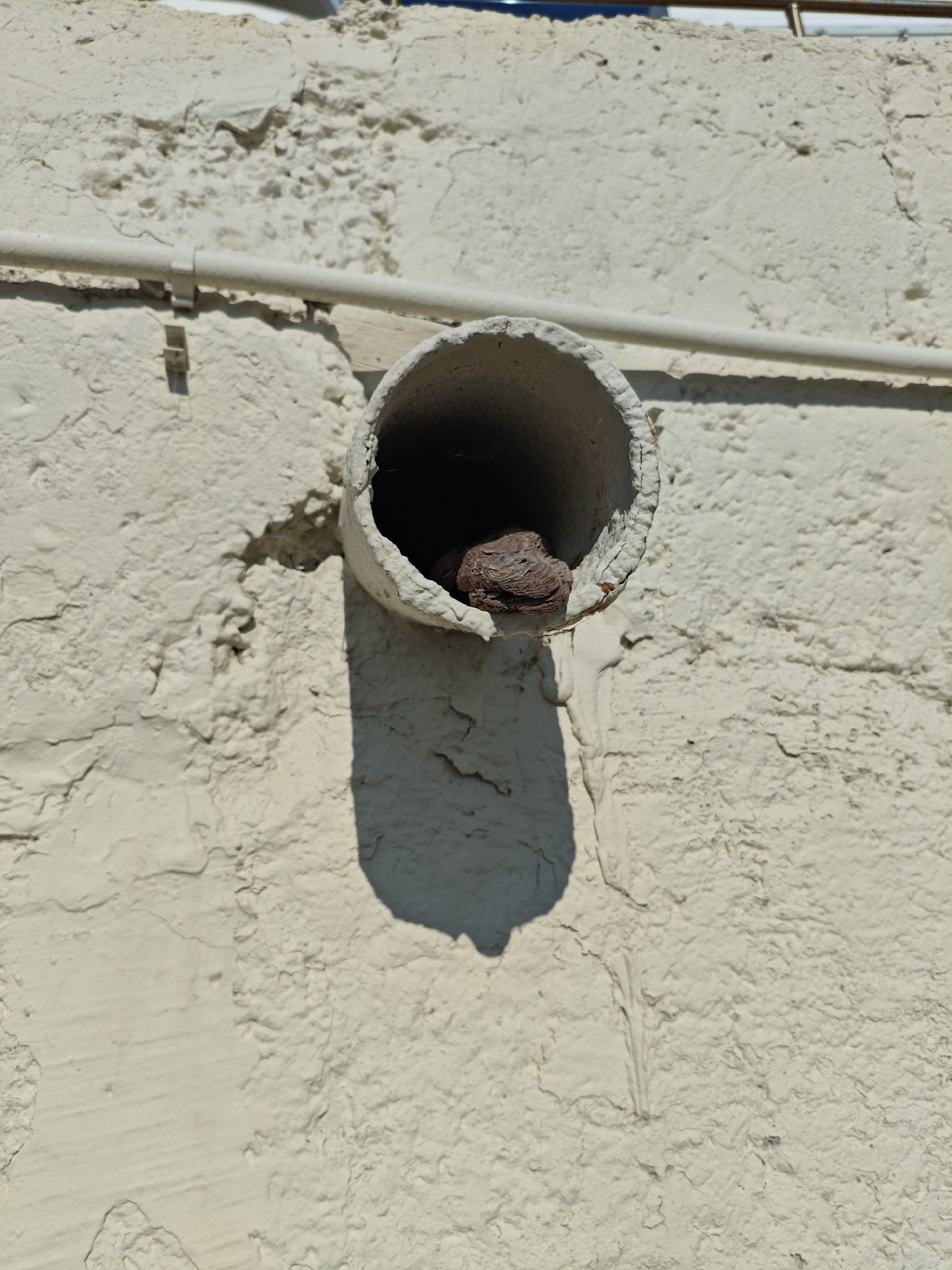The image shows a close-up view of a textured, light-colored wall with a drainage pipe protruding from it. A rust-colored object is lodged inside the pipe opening. A shadow is cast by the pipe and the object onto the wall. The wall appears to be painted, and the paint is chipping in some areas, revealing a rougher texture underneath. A narrow horizontal pipe, possibly an electrical conduit, is attached to the wall above the drainage pipe with white clips. The scene is outdoors, under sunlight, as indicated by the shadow. The location is identified as Alushta, Ukraine.