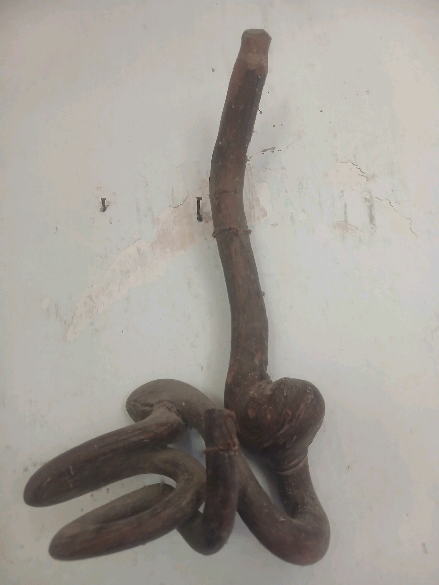 The image depicts a collection of dark, irregularly shaped wooden objects against a pale, textured wall. The objects appear to be roots or carved wood, with a smooth, somewhat polished surface. Some pieces are twisted and contorted, forming loops and bulbous protrusions. There are two visible nails embedded in the wall, suggesting the objects might have been displayed or hung. The wall itself shows signs of age, with peeling paint and subtle discoloration. The lighting is even, casting minimal shadows, and the focus is primarily on the wooden artifacts. The scene is devoid of human presence. Without further information, it is impossible to determine the exact location within Banyuwangi, Indonesia.