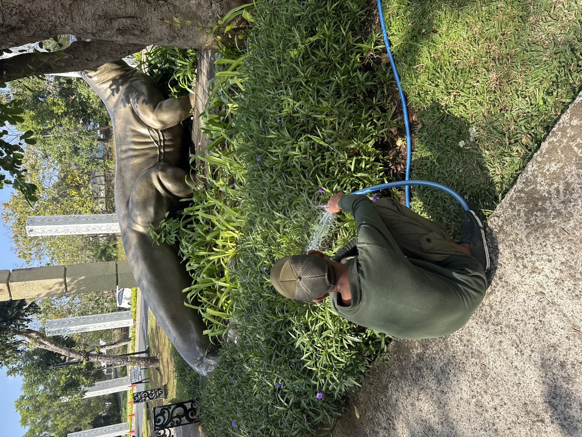 A man in a green uniform and cap is crouching and watering a dense cluster of green bushes with a blue hose. He is positioned in the foreground, facing away from the camera. Behind the bushes, a large, bronze sculpture of a reclining komodo dragon is visible, partially obscured by foliage and a tree trunk on the right. In the background, several tall, rectangular stone pillars with decorative carvings stand in a row, flanked by trees and a bright blue sky. A white car is parked on a road in the distance. The scene appears to be an outdoor public space, possibly a park or garden area in Kuta Selatan, Indonesia, given the presence of tropical vegetation and distinct architectural elements.