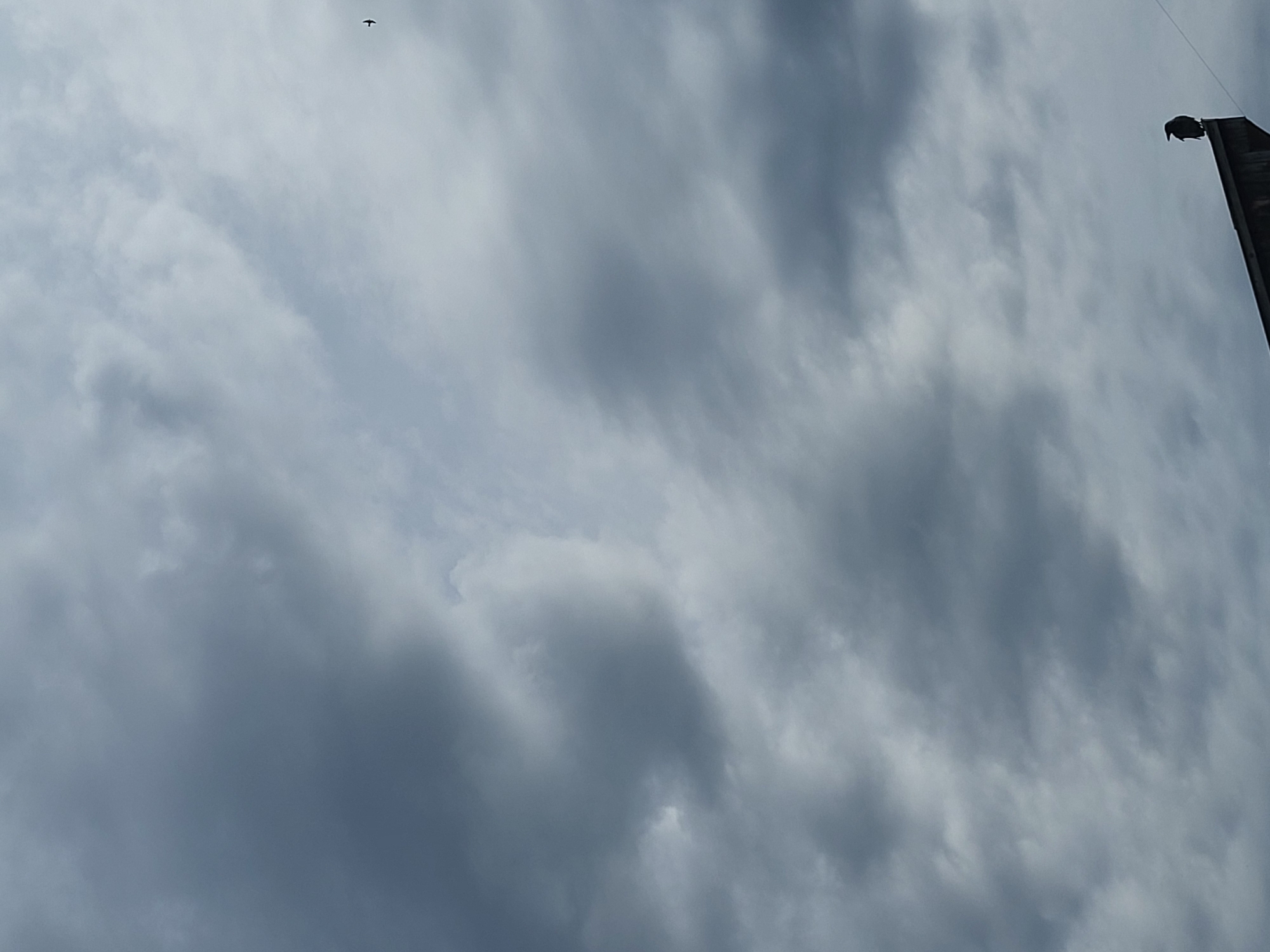 The image shows a silhouette of a bird perched on the apex of a dark-colored, sloped roof against a cloudy, overcast sky. A small, distant airplane is visible in the upper right quadrant of the sky. The lighting suggests it may be daytime, possibly during a storm or at dusk, given the dark clouds and the silhouette effect. No other people or objects are clearly discernible.