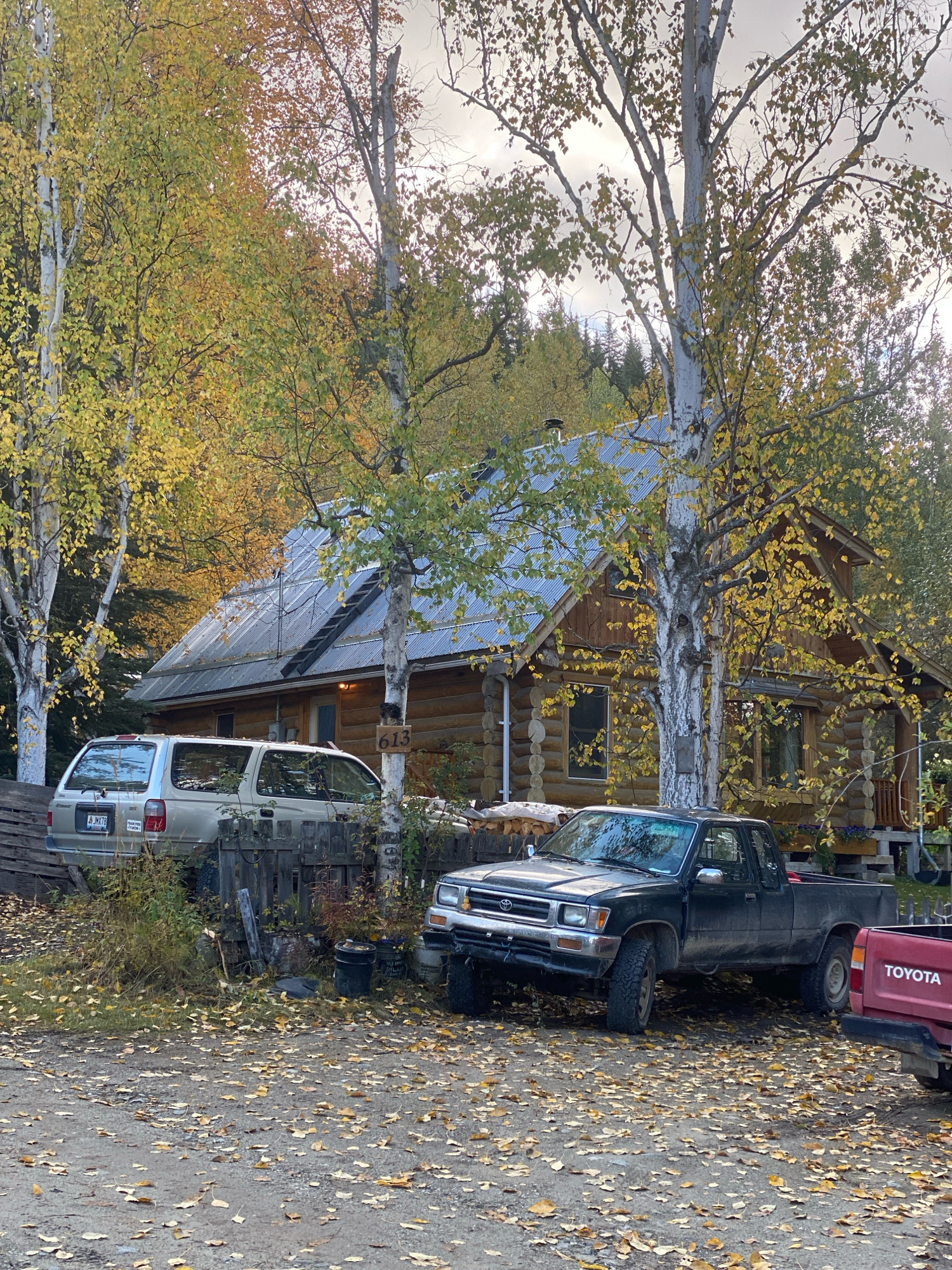 The image depicts a rustic log cabin in Dawson City, Canada, during autumn. The cabin, made of horizontal logs, has a metal roof and several windows. In front of the cabin, parked on a gravel area covered with fallen yellow leaves, are two pickup trucks and an SUV. A dark-colored pickup truck is in the foreground, and a red Toyota pickup truck is partially visible to its right. A silver SUV is parked to the left of the cabin, behind a wooden fence. The surrounding environment is characterized by tall birch trees with yellowing leaves and evergreen trees in the background. The sky is overcast, suggesting a cloudy day. A wooden sign with "613" is attached to a pole near the cabin.